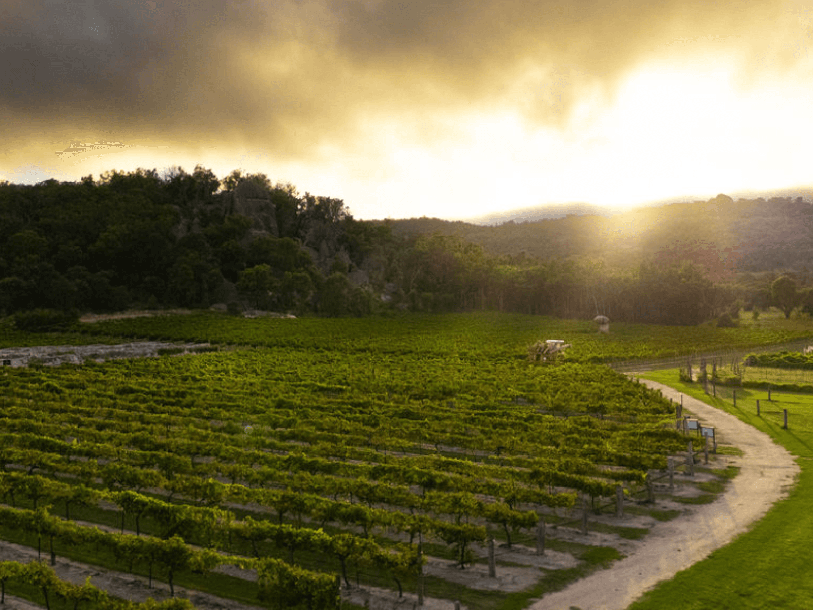 Balancing Heart Vineyard - Image 1