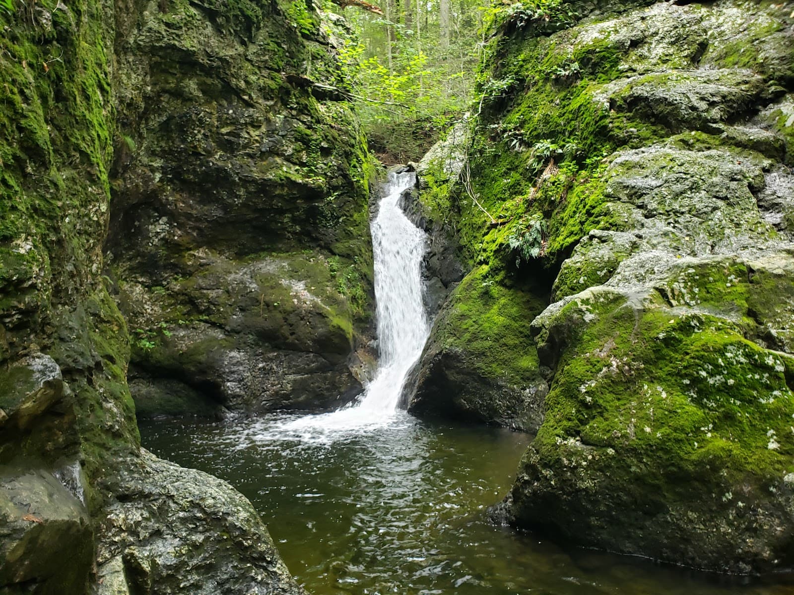 Indian Well State Park - Image 1