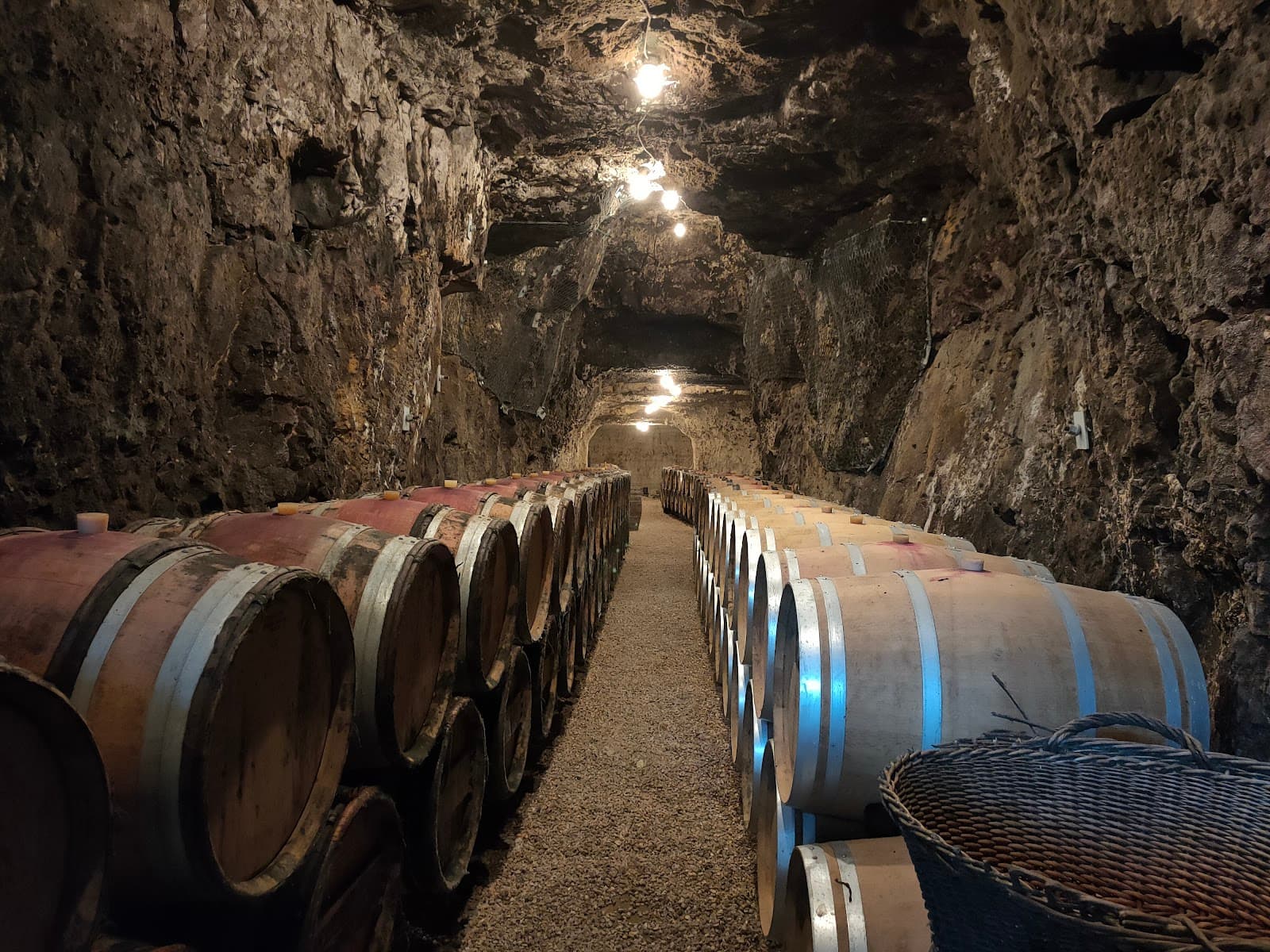 Domaine Bernard Baudry - Image 1