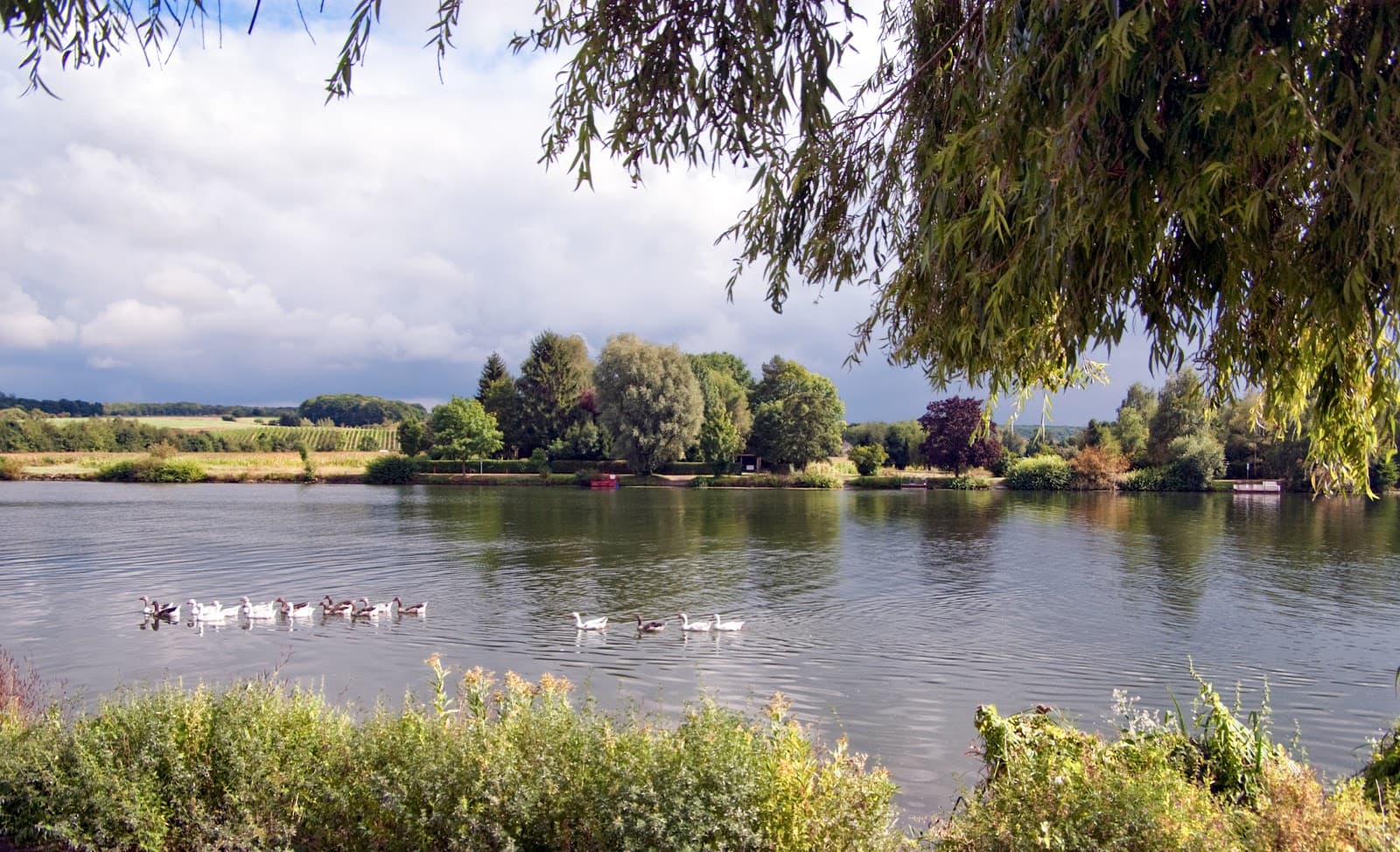 Remich Promenade Moselle - Image 1