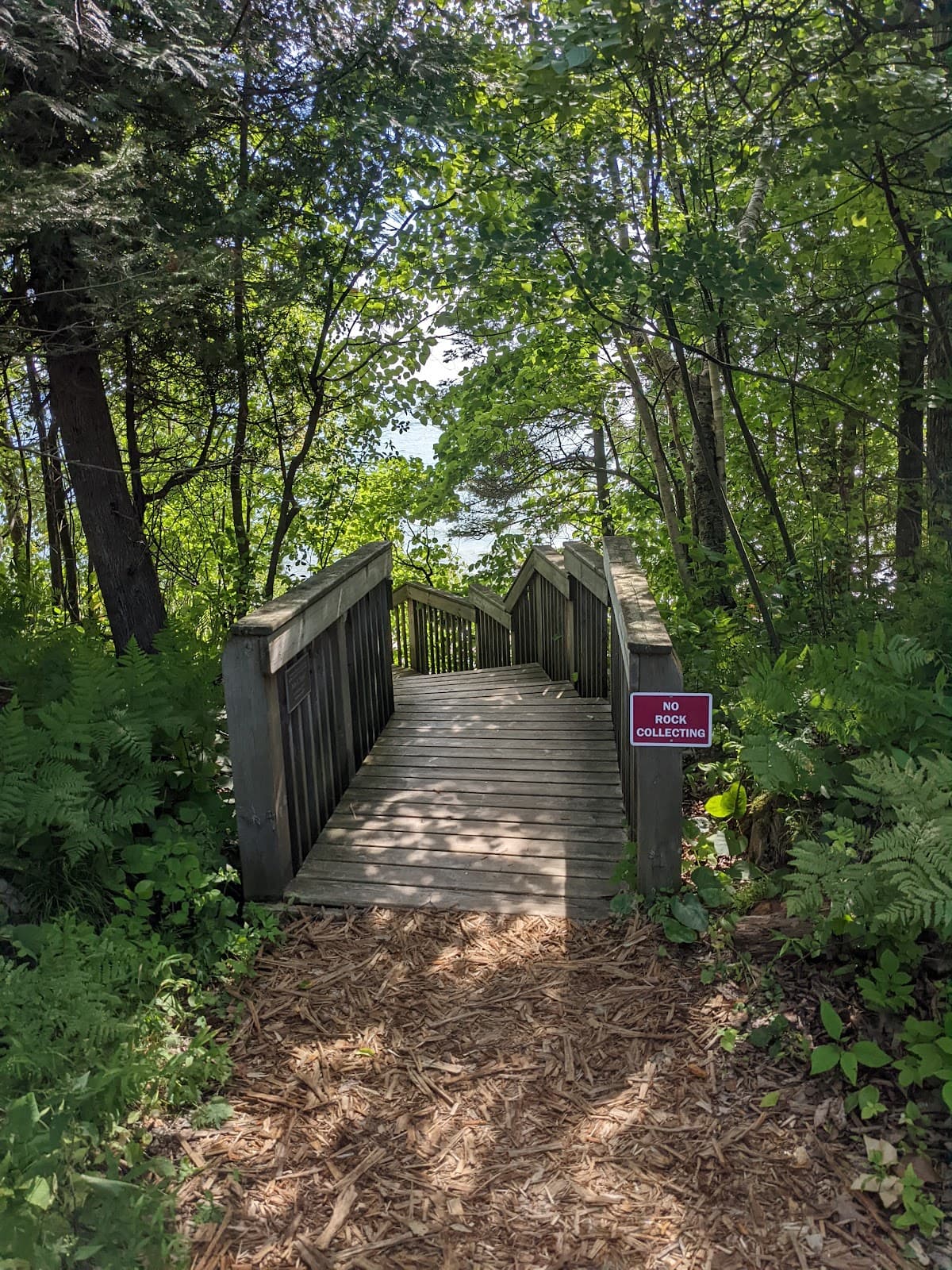 Thorne Swift Nature Preserve - Image 1