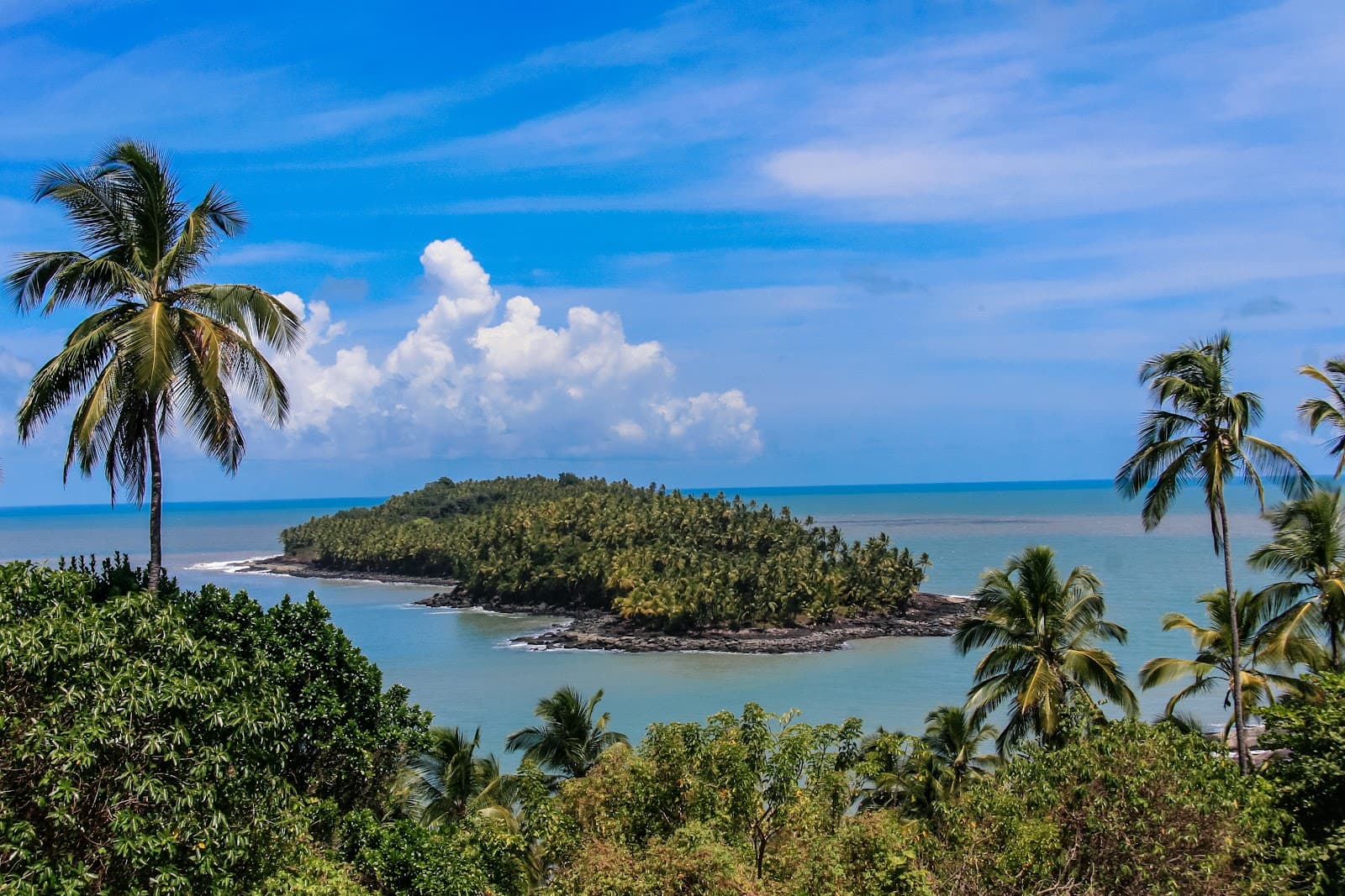 Salvation Islands - Image 1