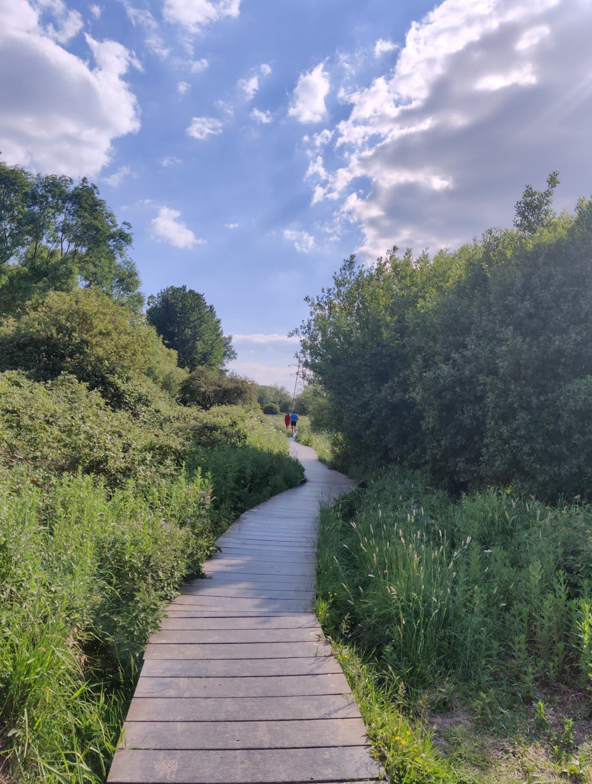 Aylestone Meadows Leicester - Image 1