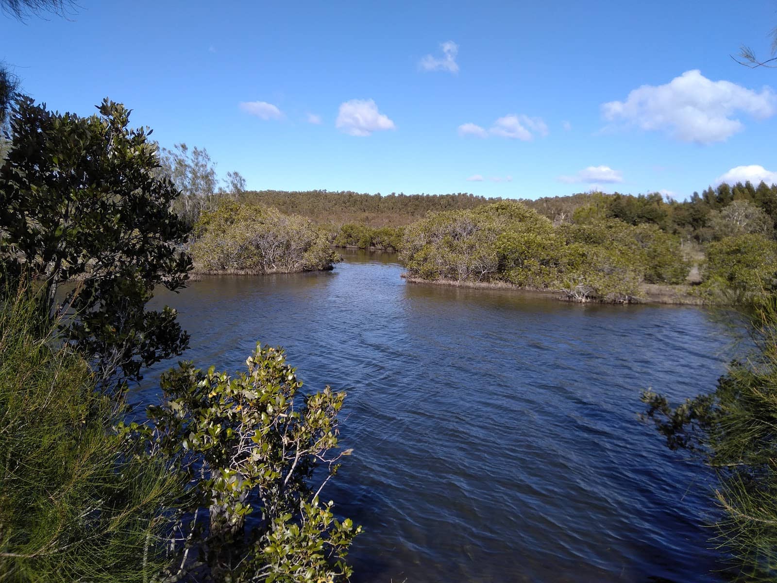 WW2 Historical Echoes