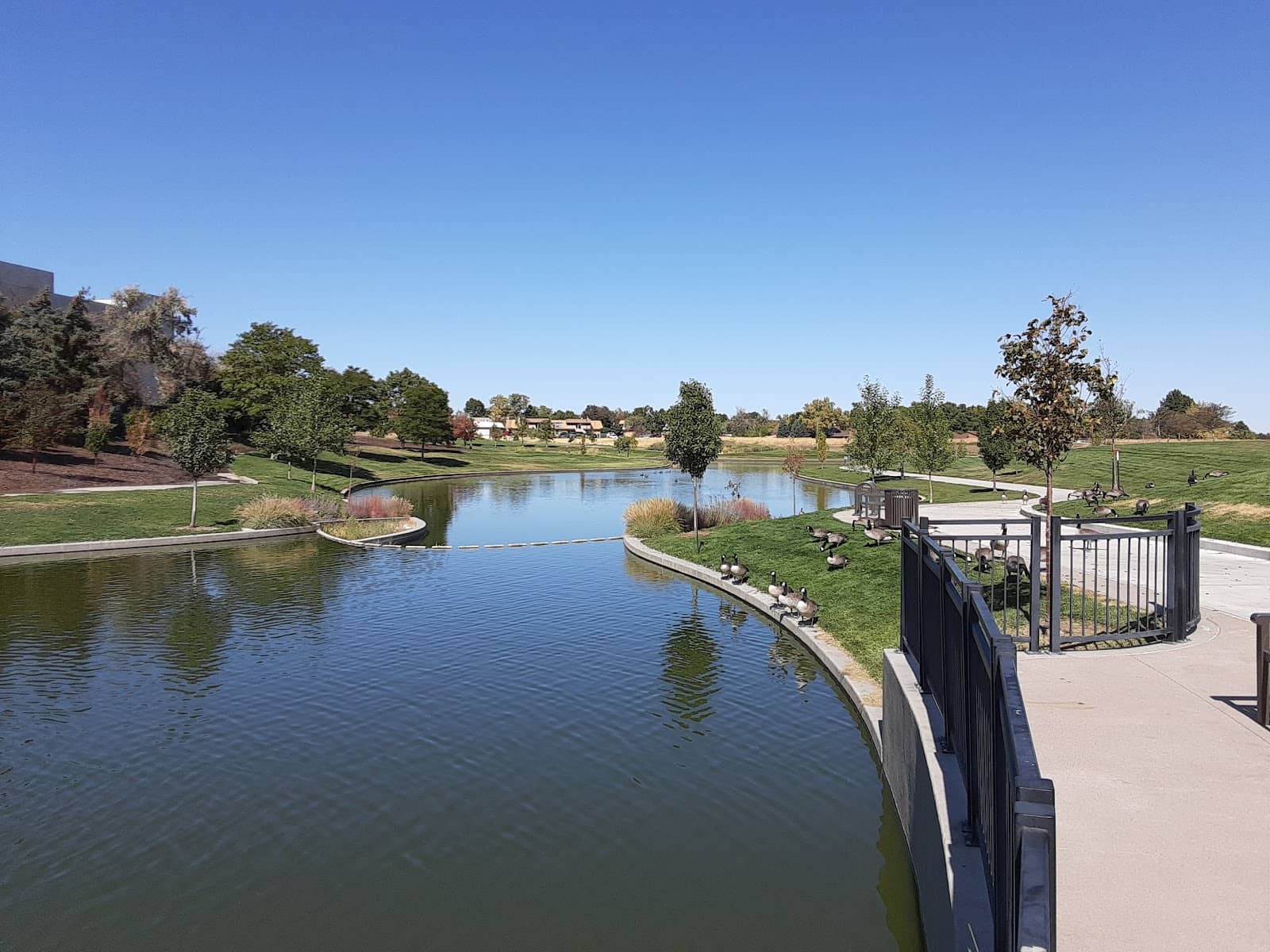 Urban Oasis