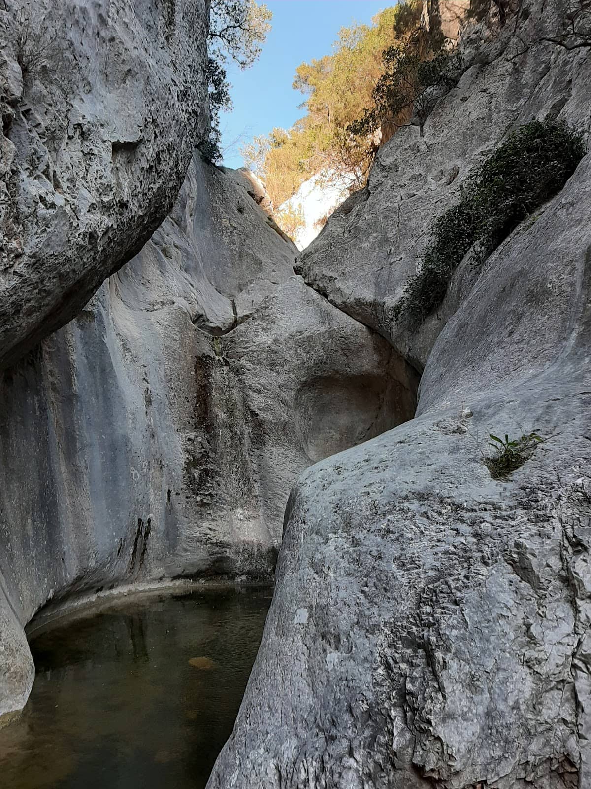 Vertical photo