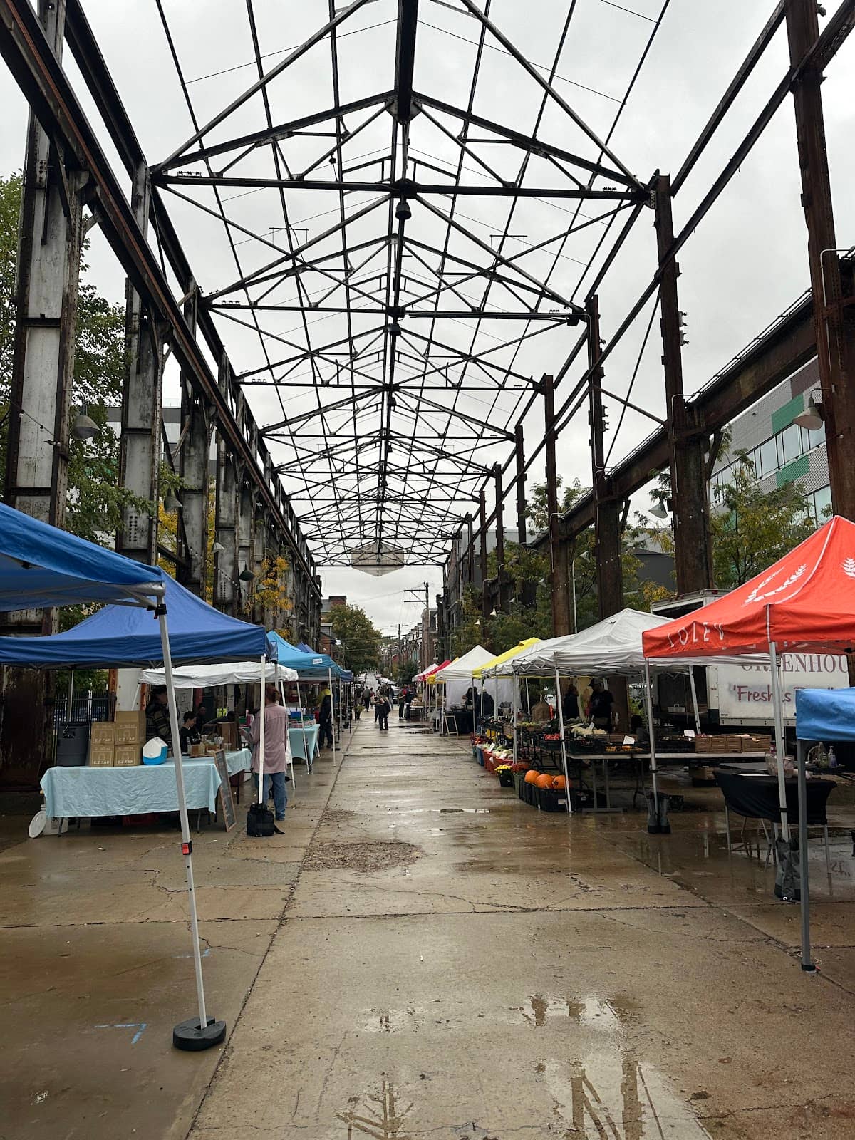 Local Produce Galore