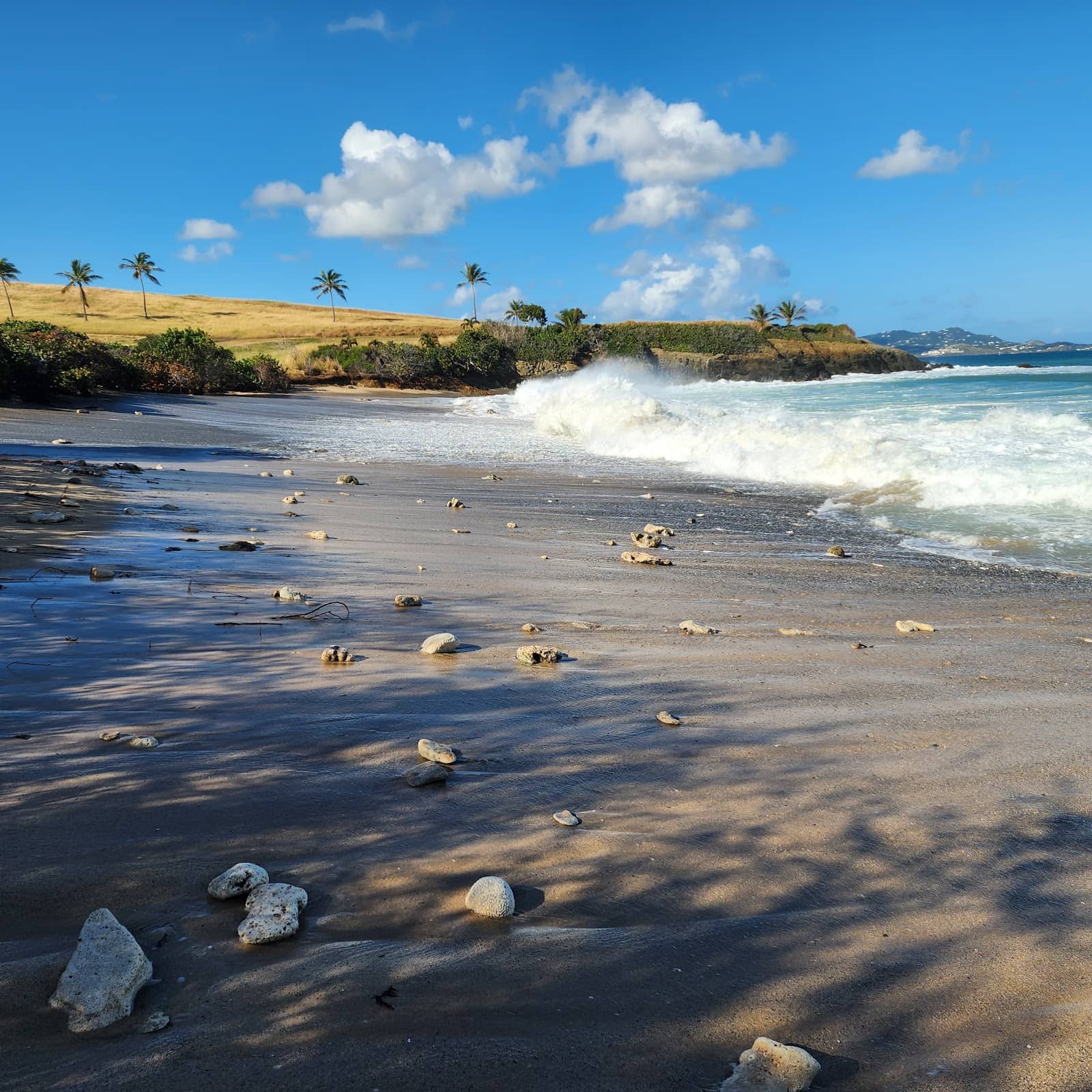 The Buccaneer's Charm