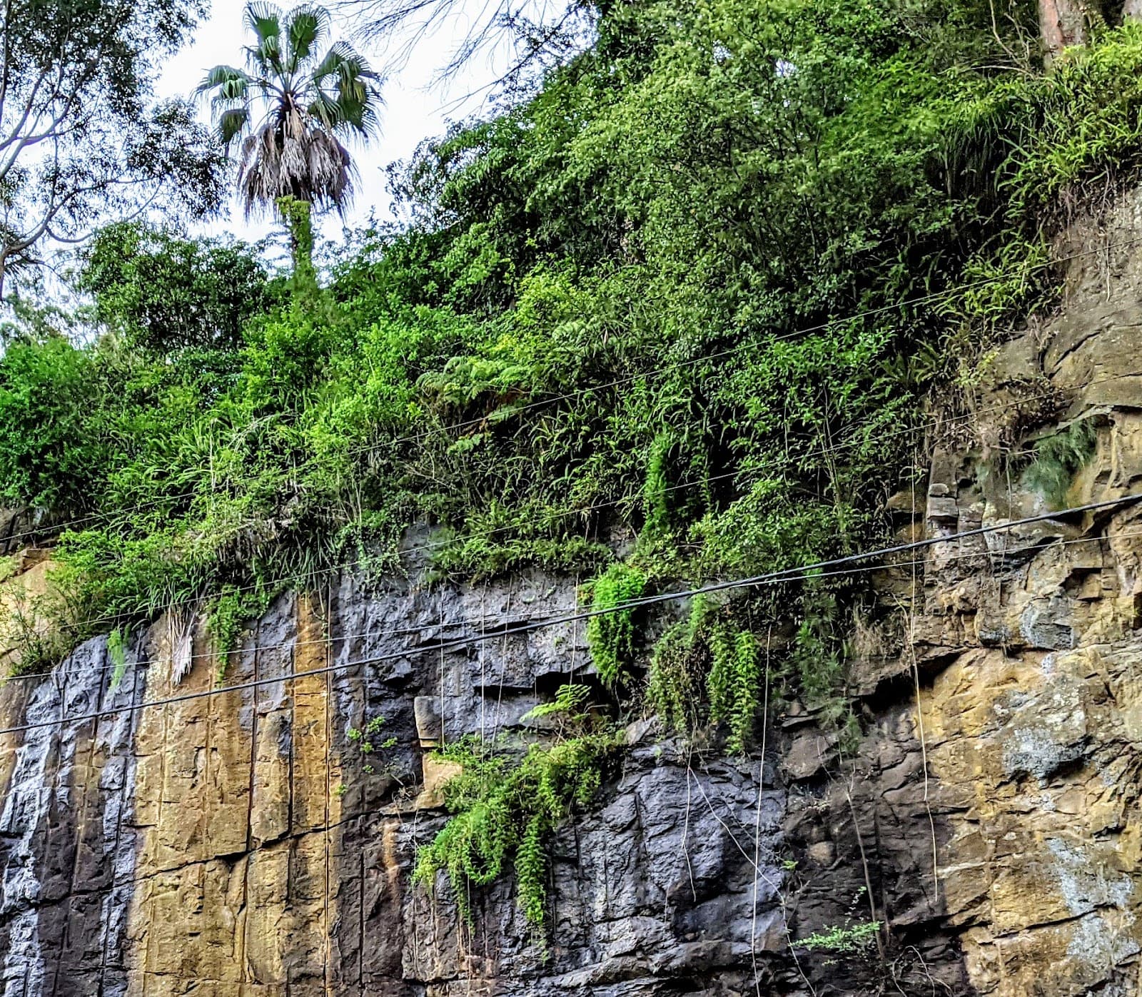 Thornleigh NSW 2120, Australia - Image 1