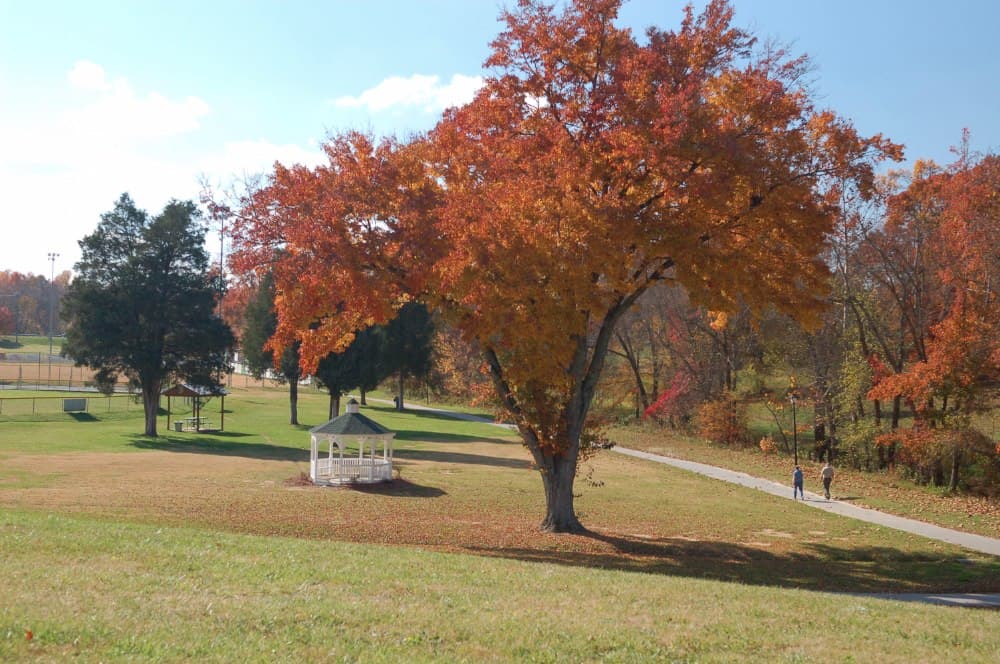Creekside Park (Archdale) - Image 1