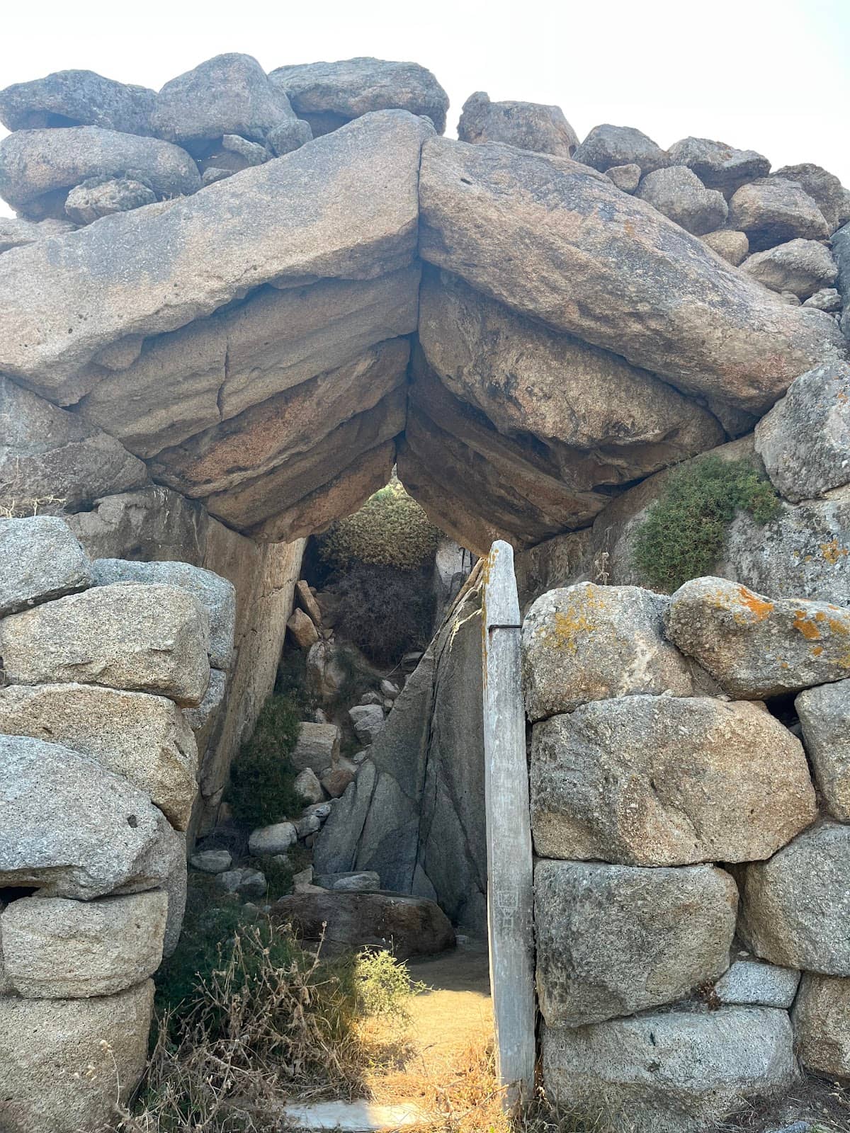 Vertical photo
