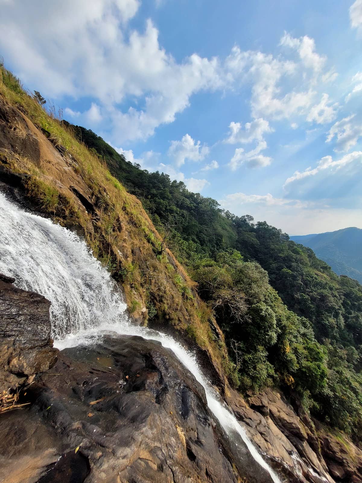 Adventurous Forest Trek