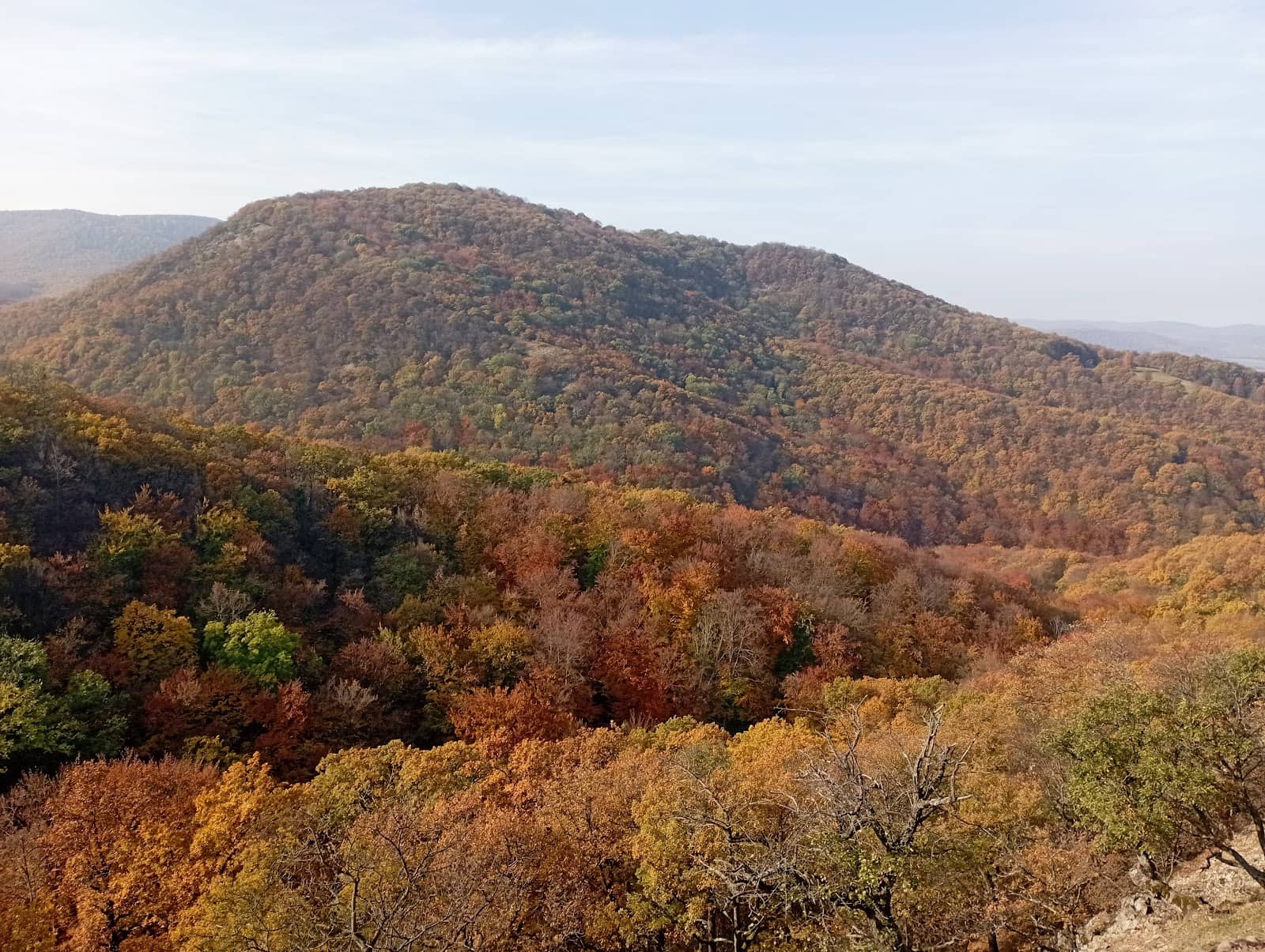 Peaceful Village Ambiance