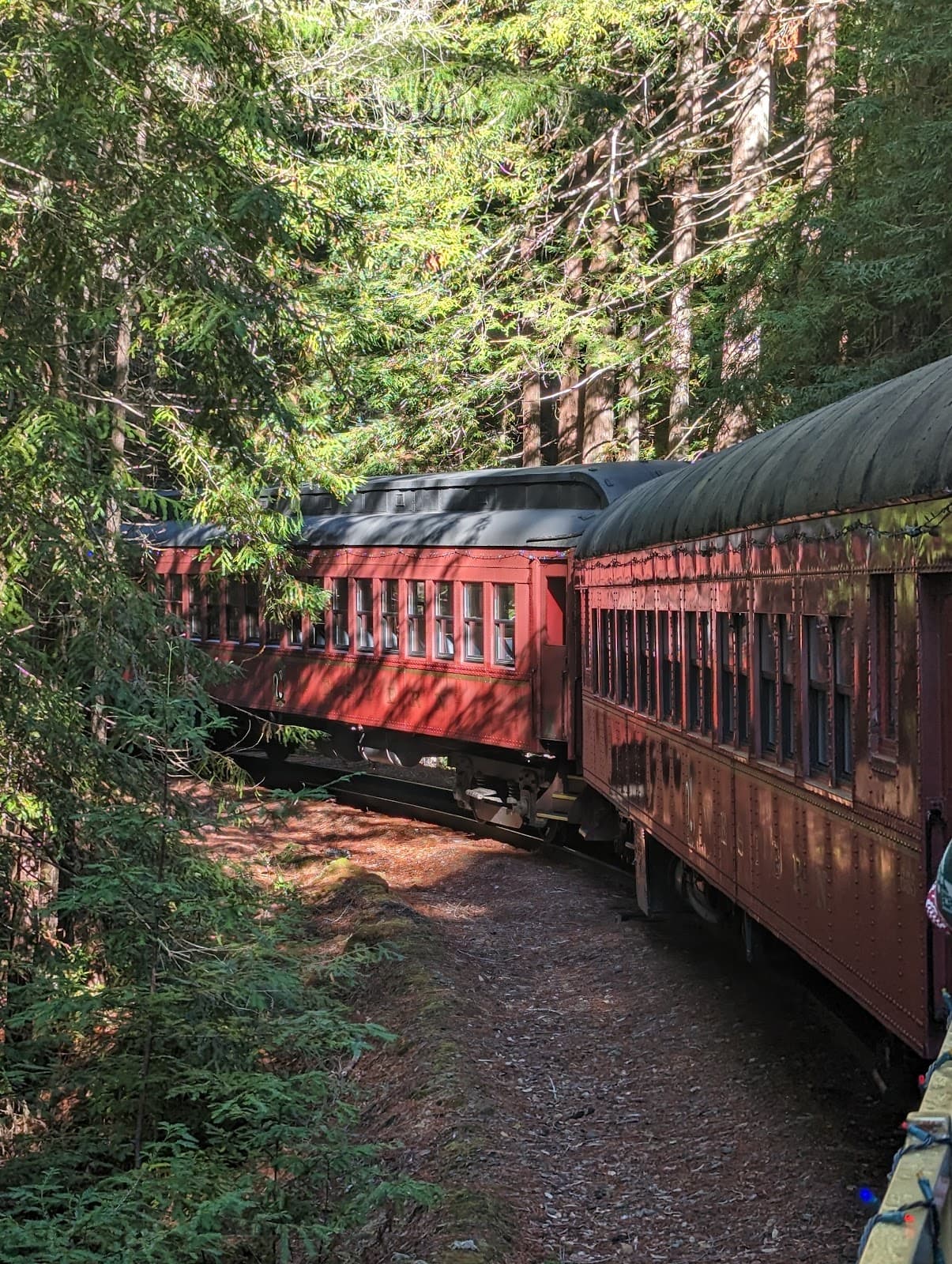 Skunk Train (Willits) - Image 1
