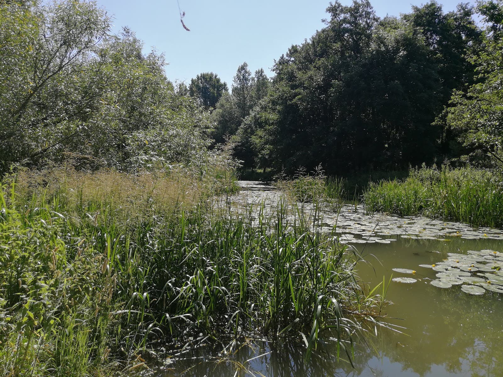 Grimsbury Reservoir Nature Reserve - Image 1