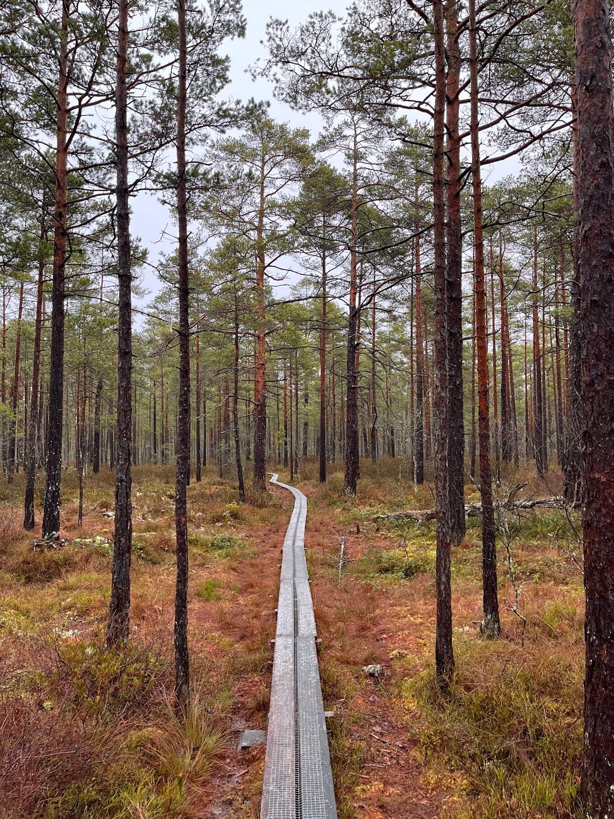 Helgasjön Lakeside Trails - Image 1
