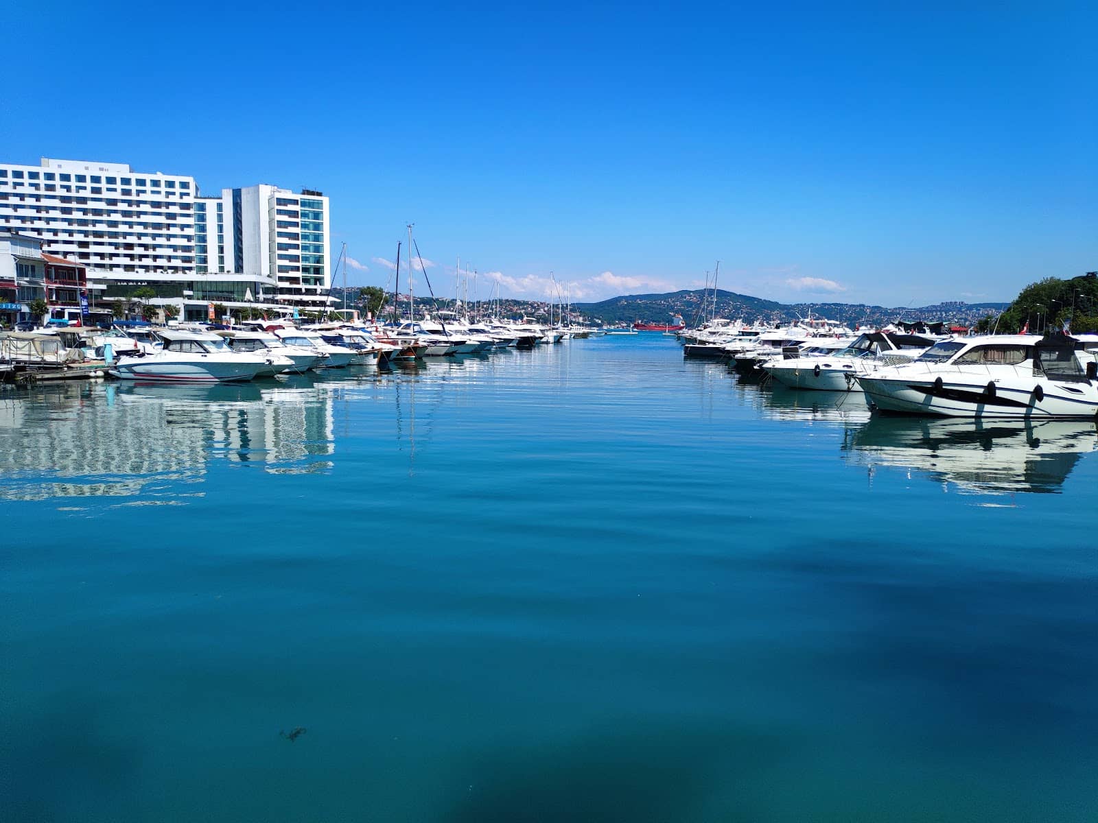 Historic Wooden Mansions