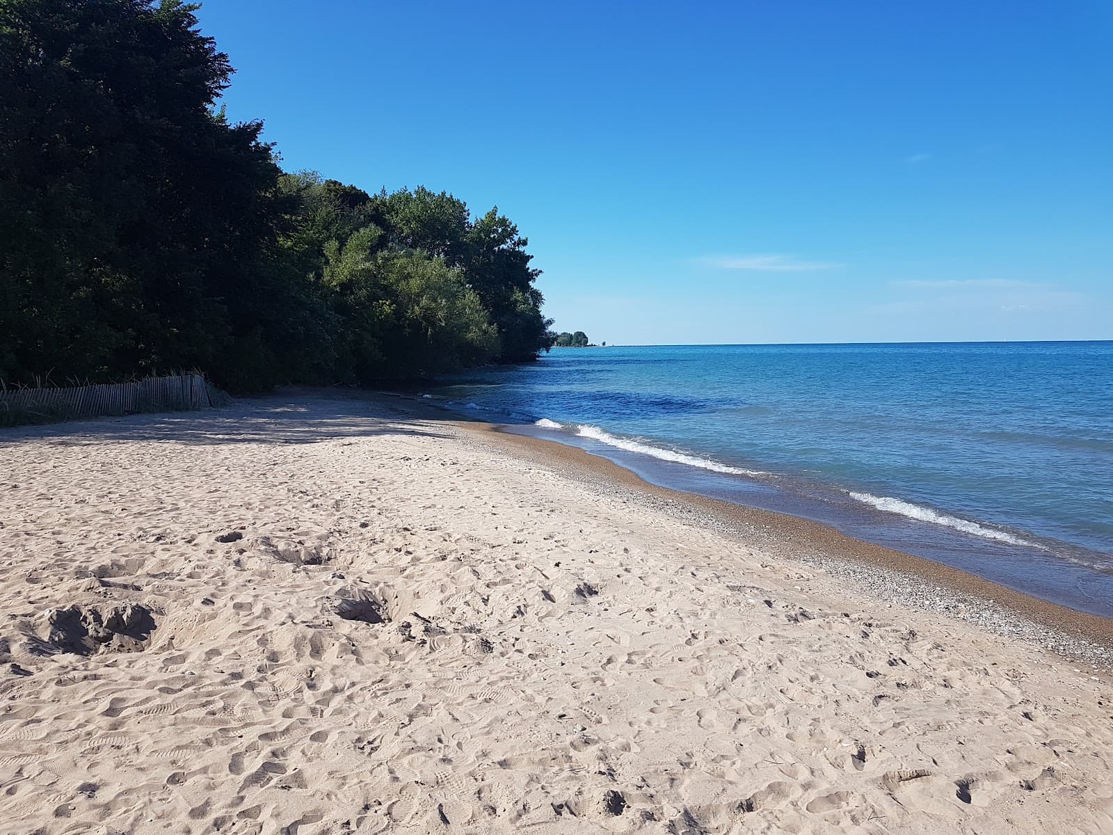 Lighthouse Beach - Image 1