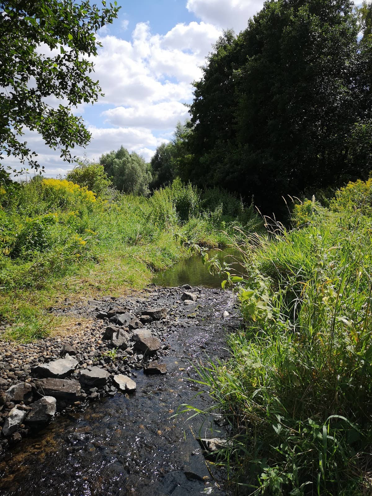 Wuhle Stream Path