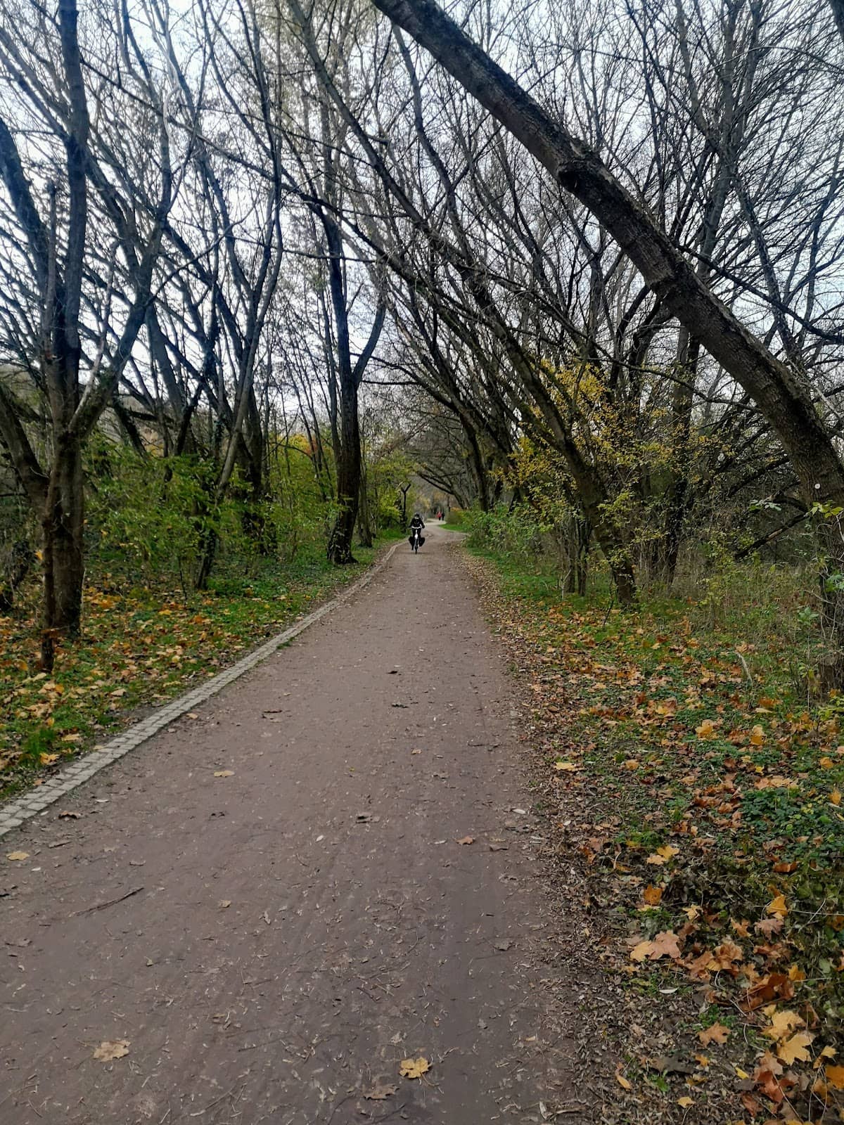 Vertical photo