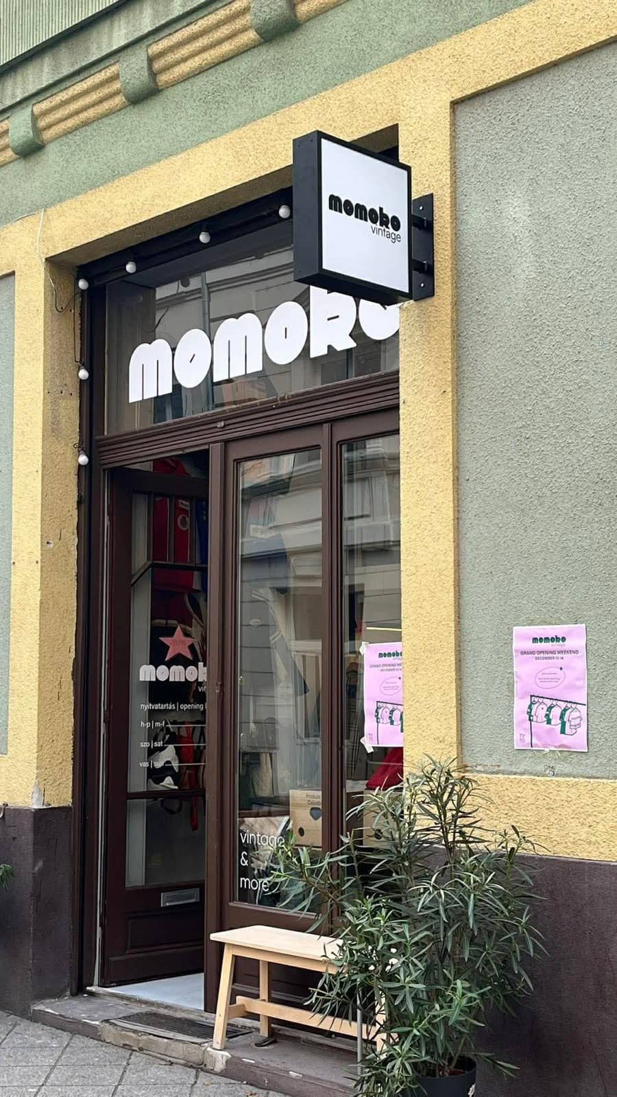 Cozy Atmosphere & Vibe