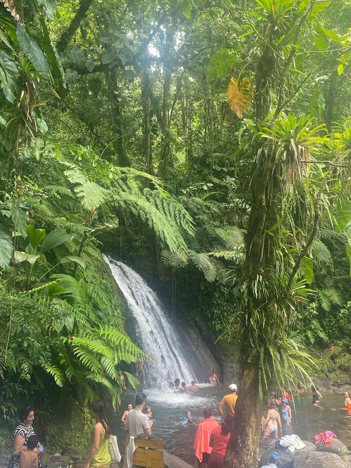 Vertical photo