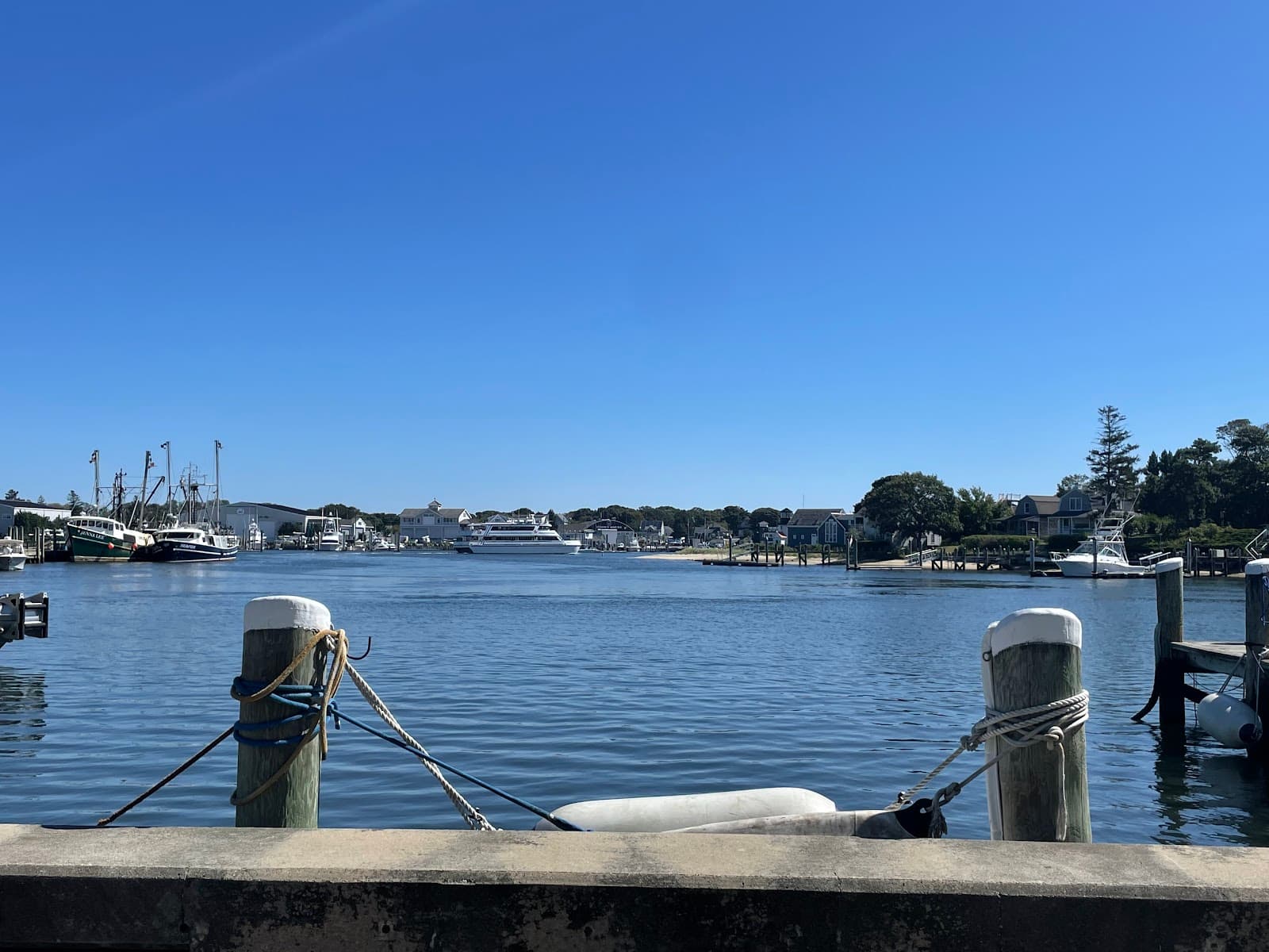 Bismore Park - Image 1