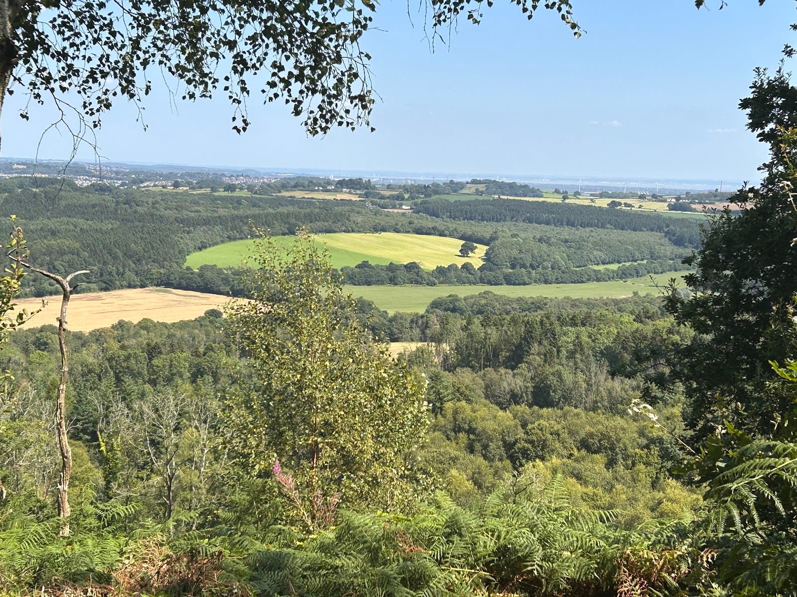 Coed Ruperra - Image 1