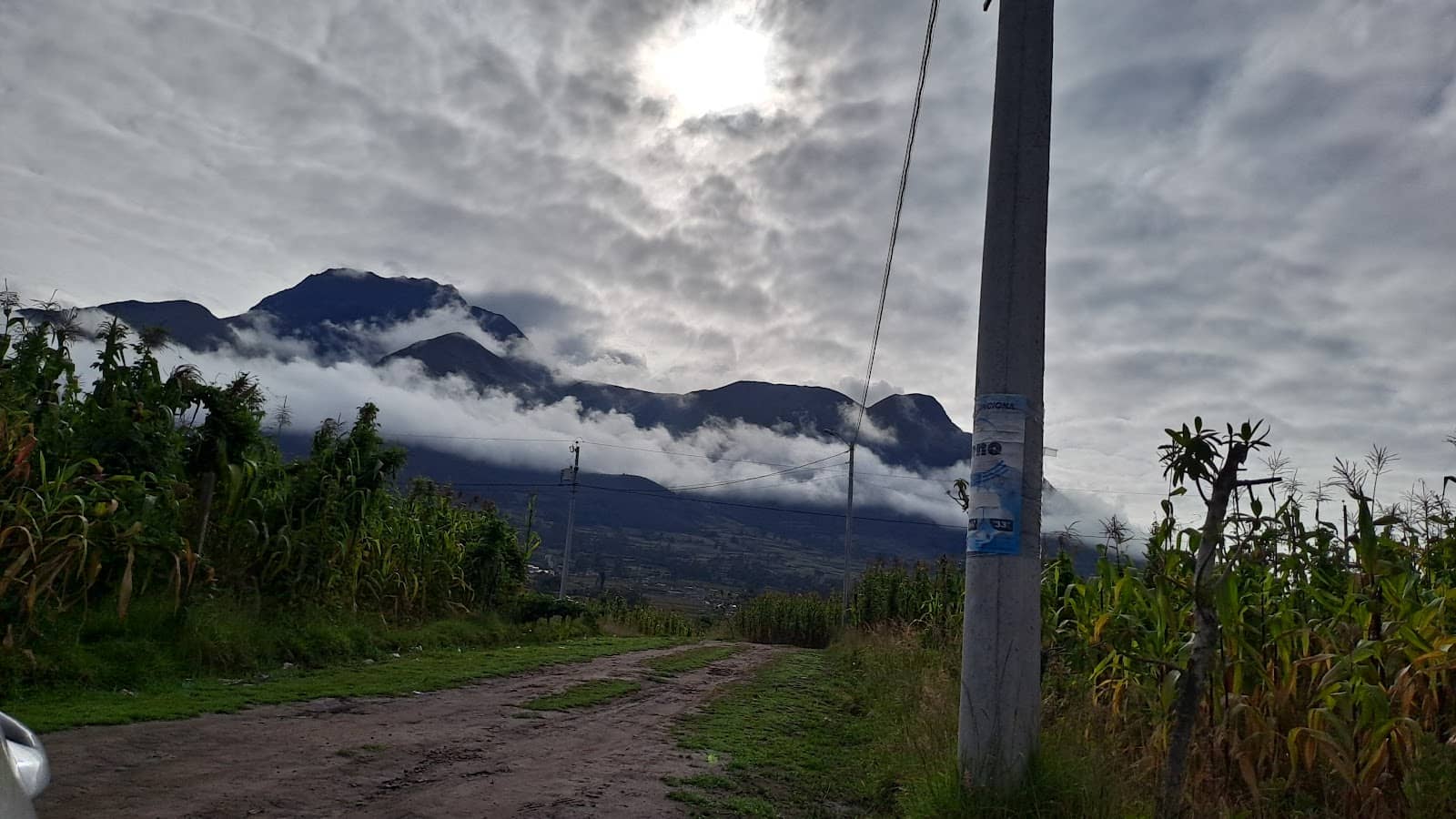 Tranquil Rural Landscapes
