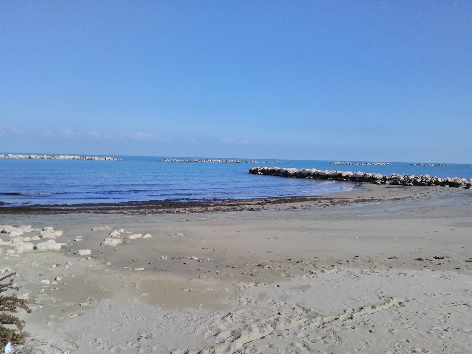 Oasi Foce del Biferno - Image 1