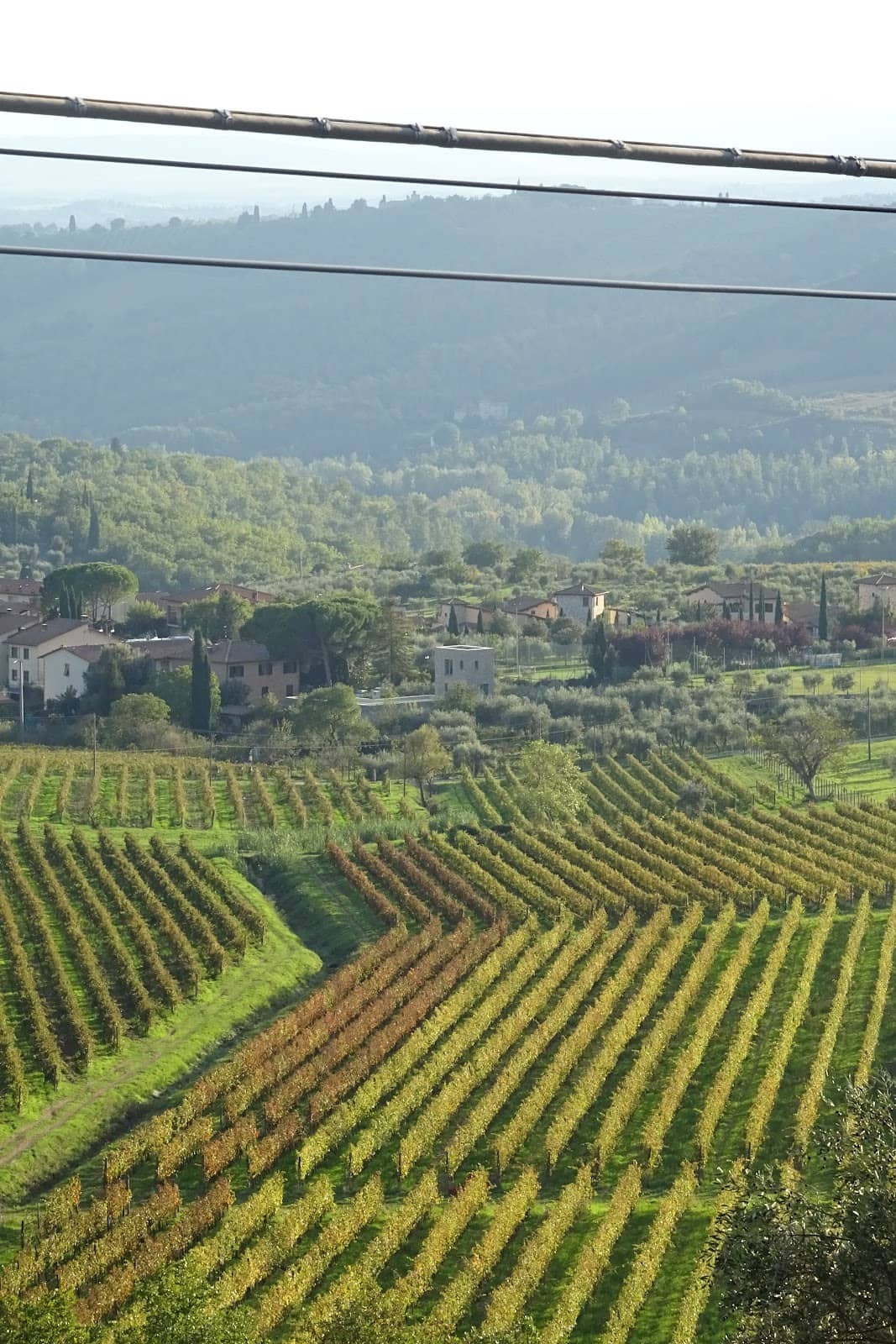 Tuscan Countryside Views