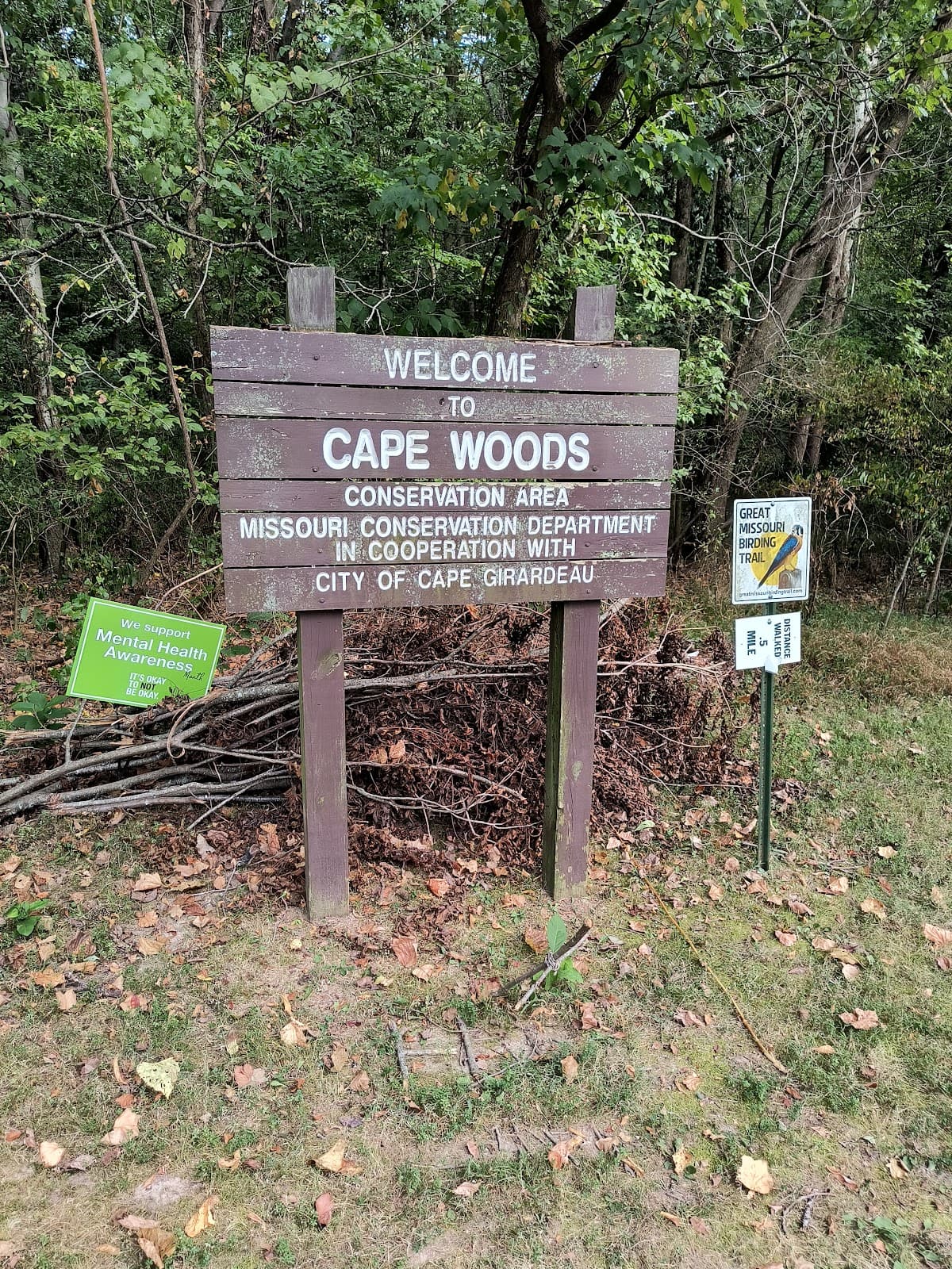 Cape Woods Conservation Area - Image 1
