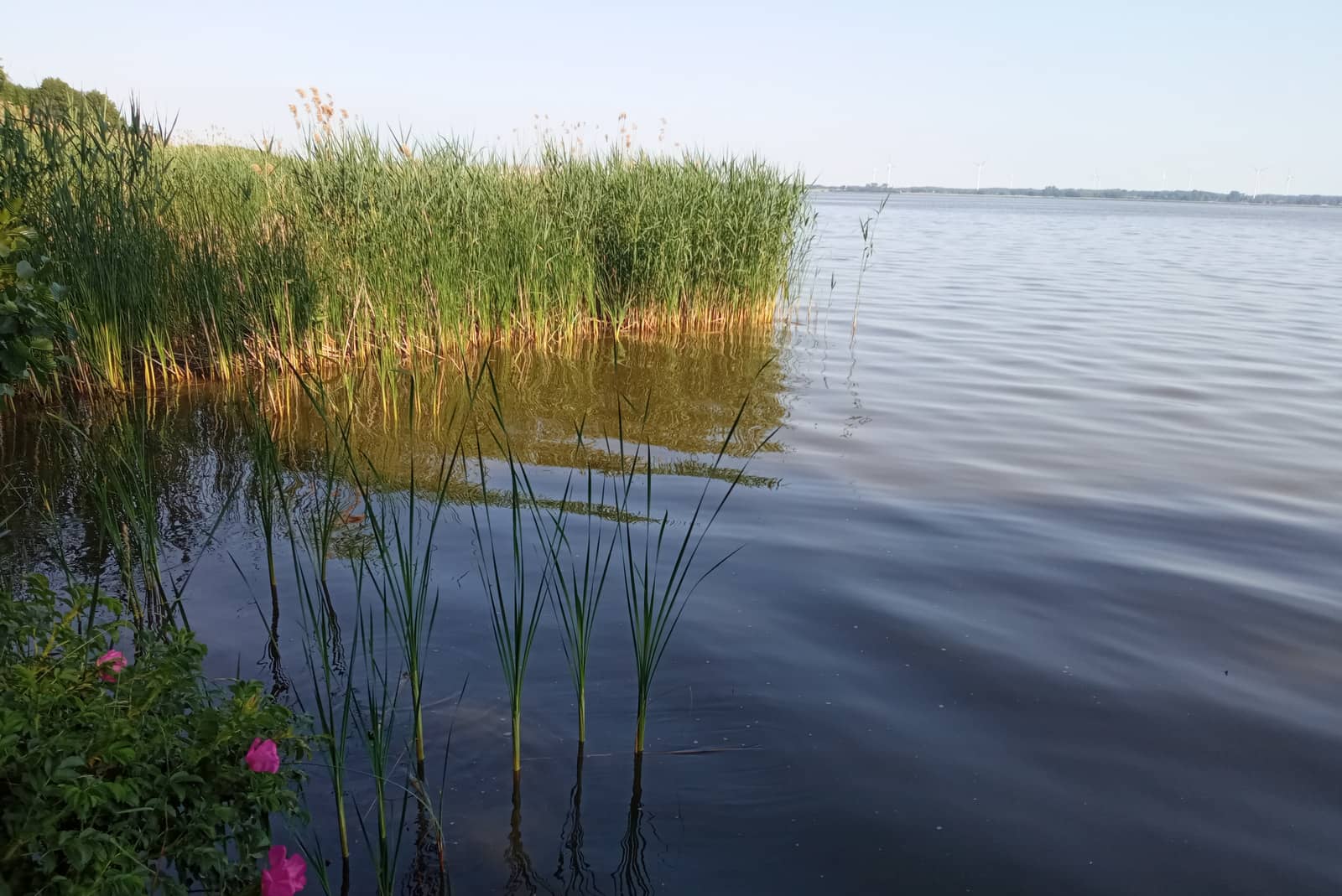Lake Kamper History