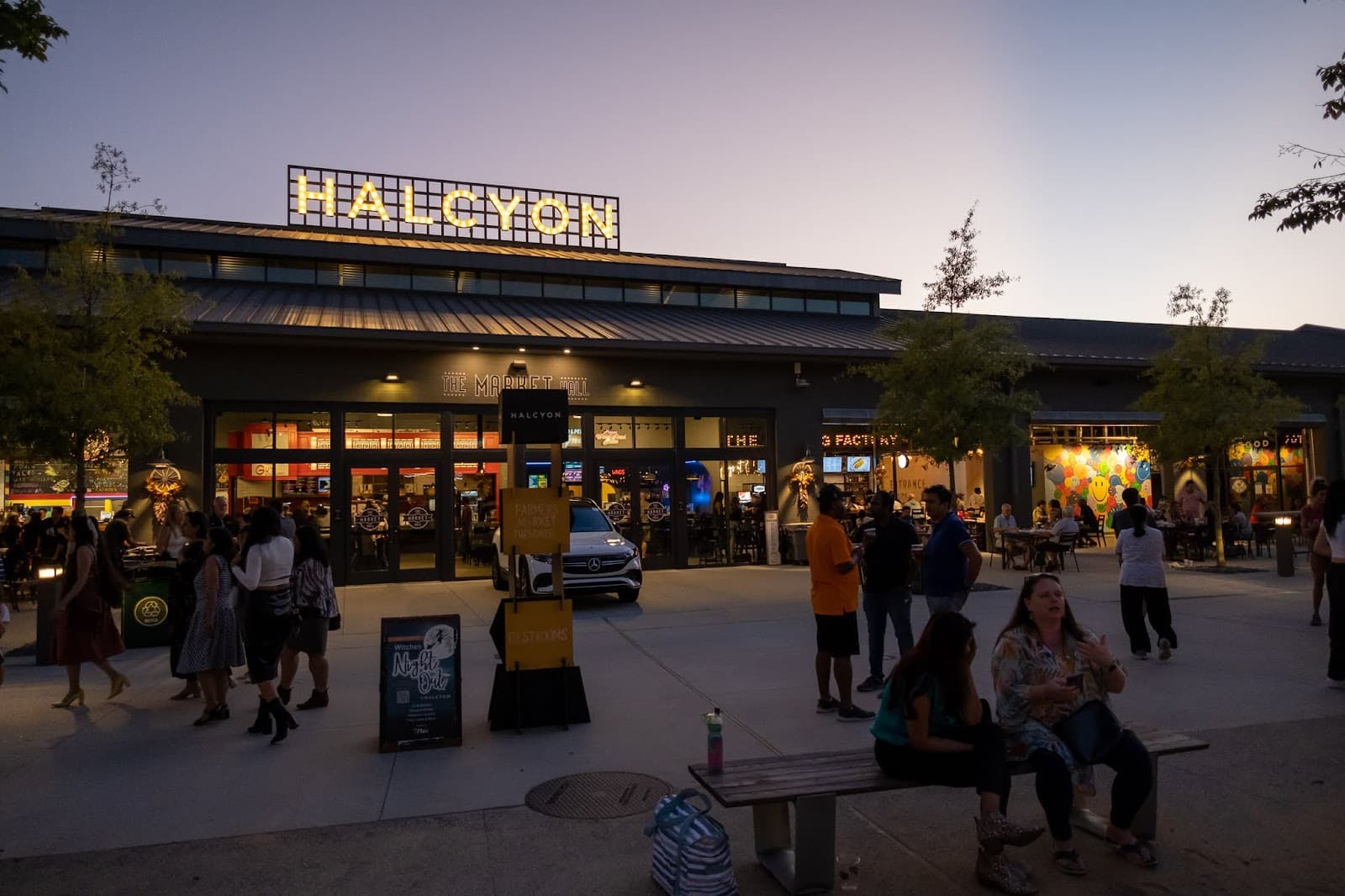 Halcyon Forsyth - Image 1