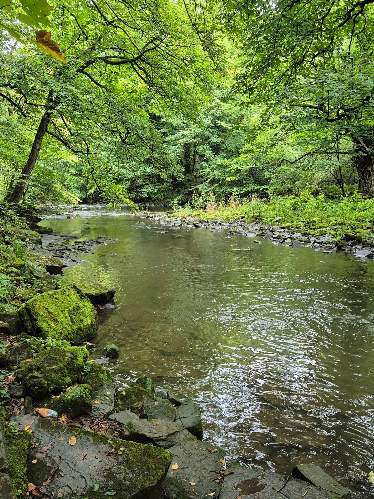 Children's Play Area & Stepping Stones