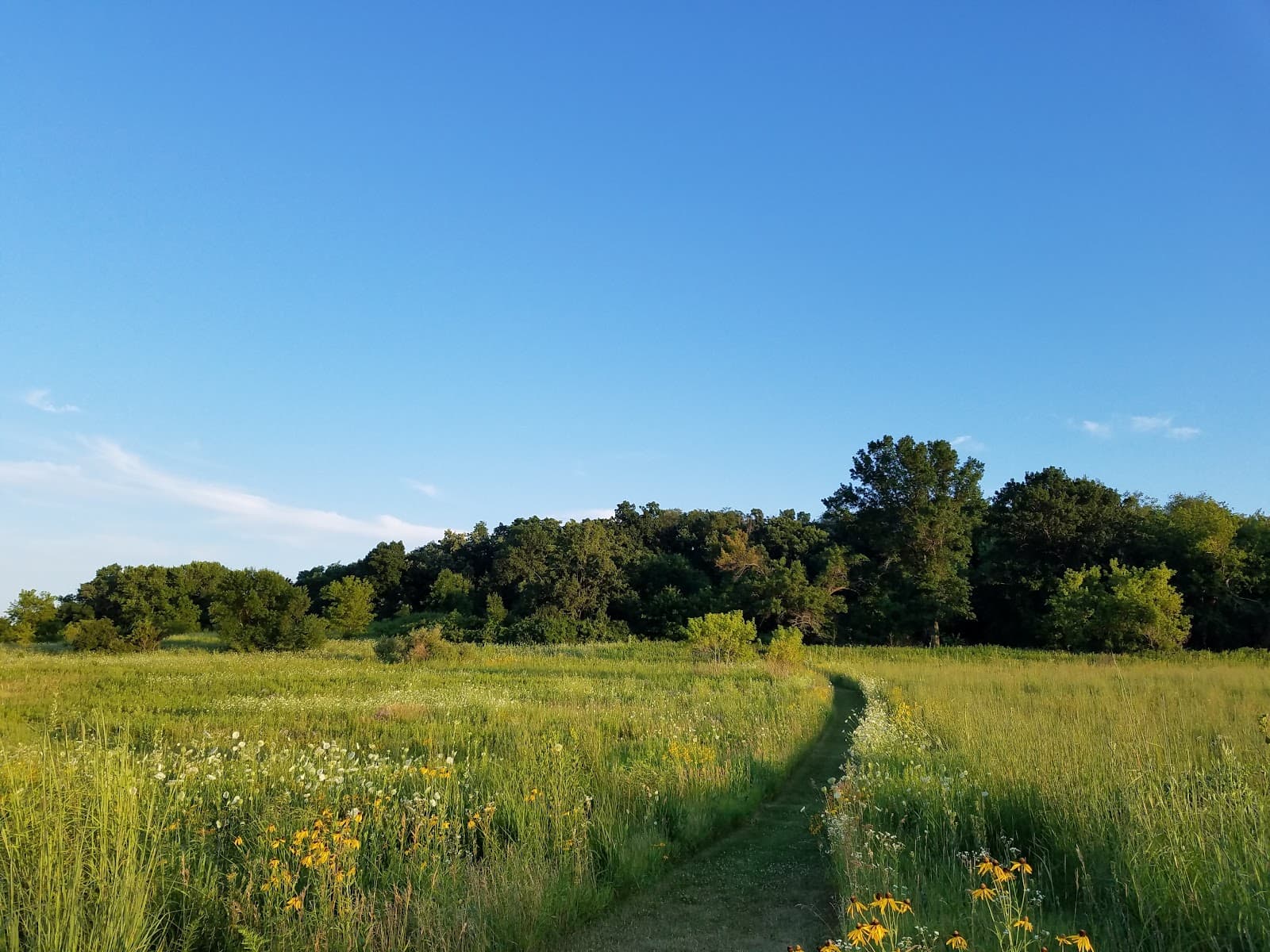 Governor Nelson State Park - Image 1