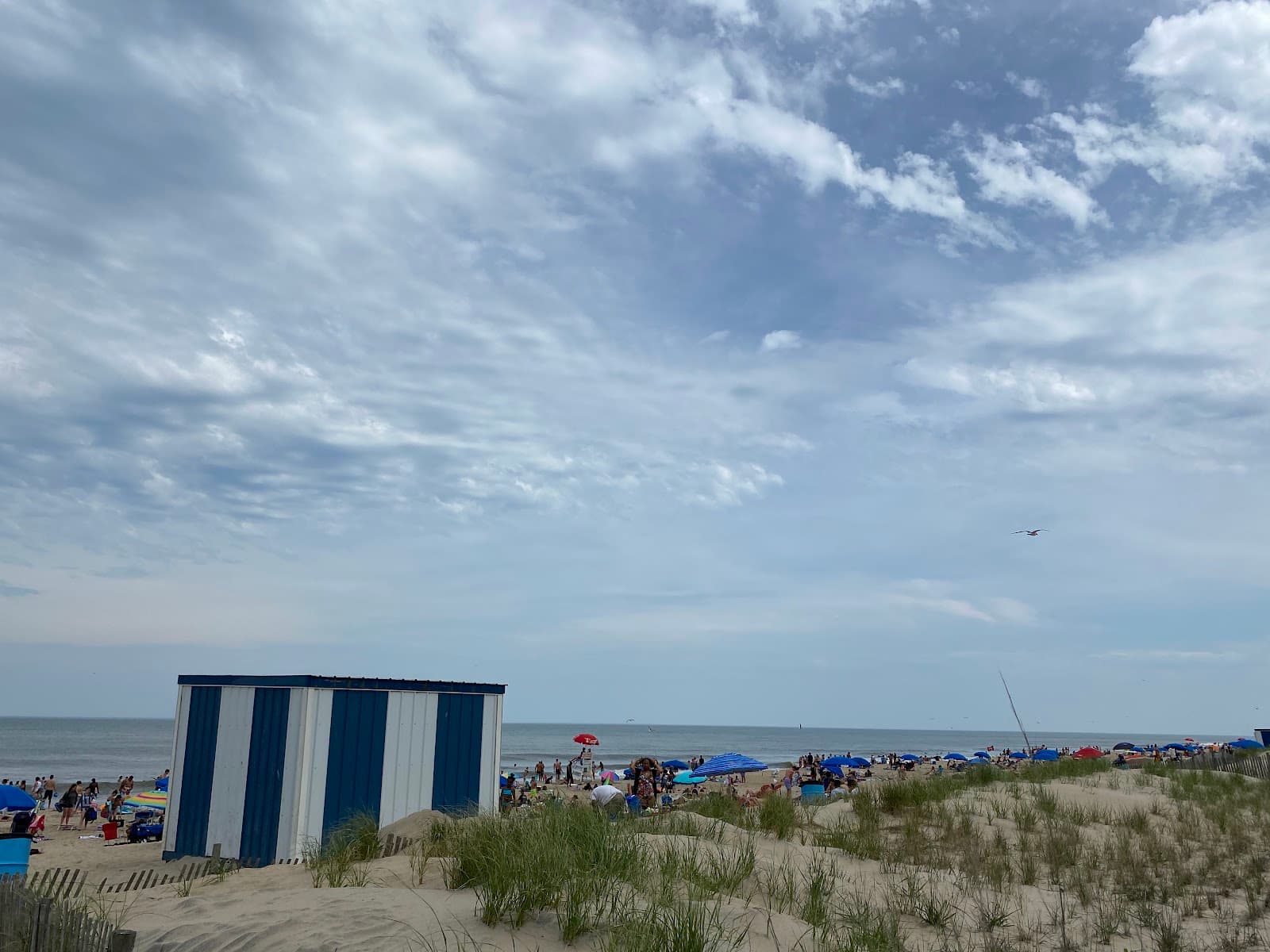 Rehoboth Avenue Drawbridge - Image 1