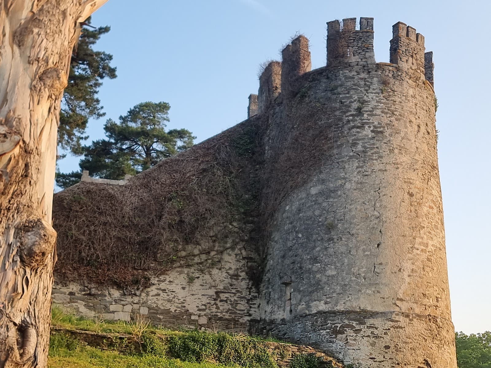 Fortaleza de Sarria - Image 1