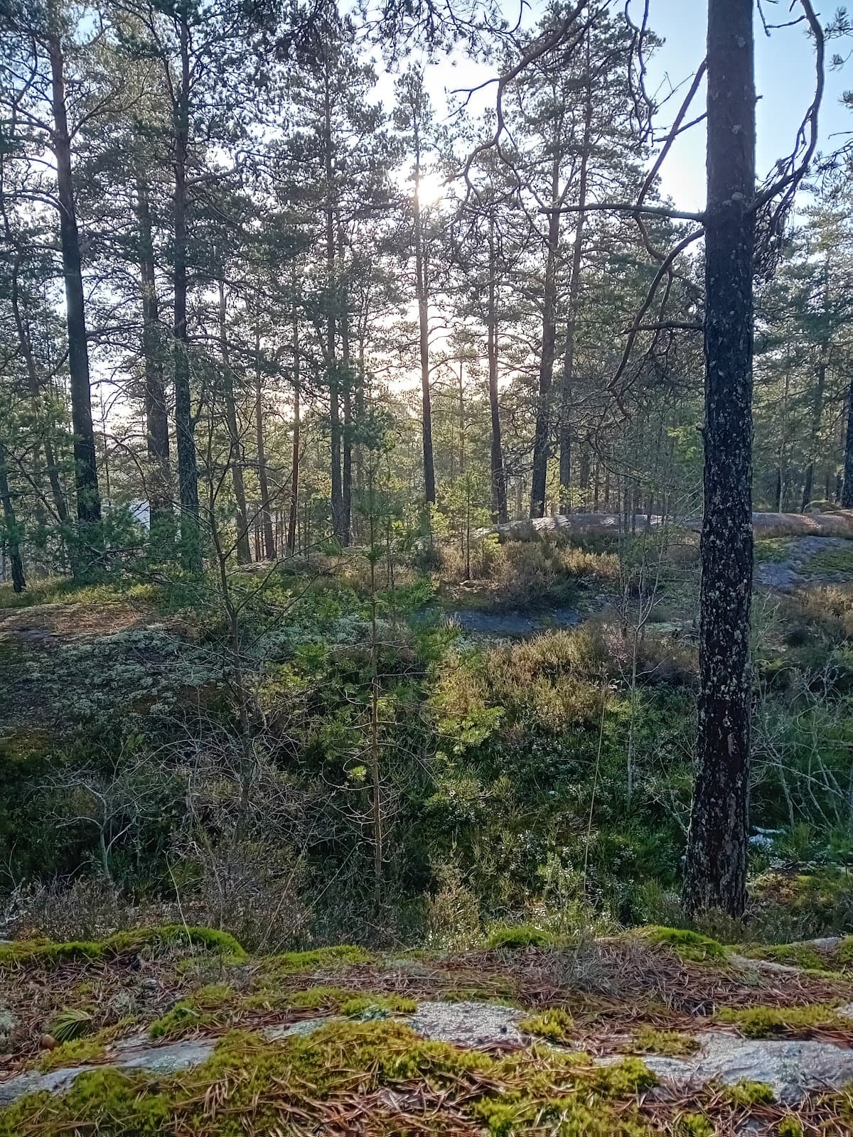 I2-skogen Outdoor Area - Image 1