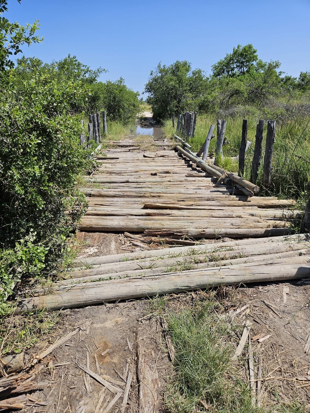 First & Second Bridge - Image 1