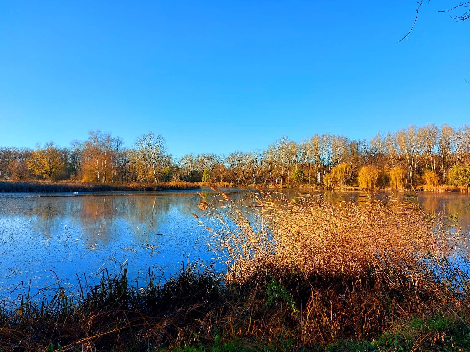 Picnic and BBQ Spots