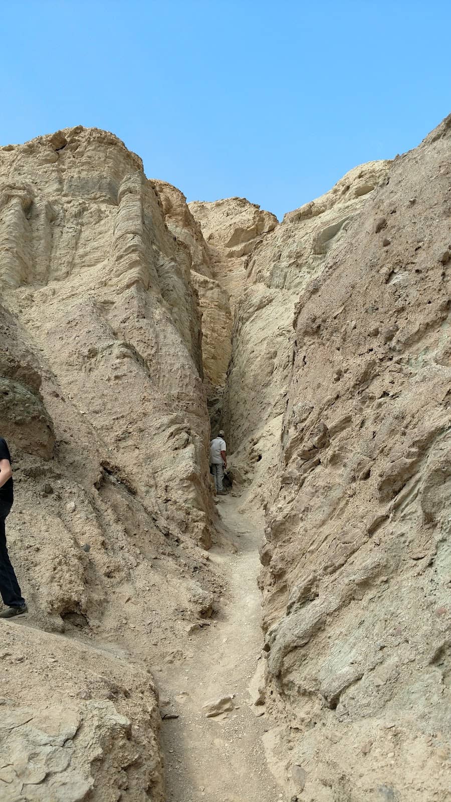 Vertical photo