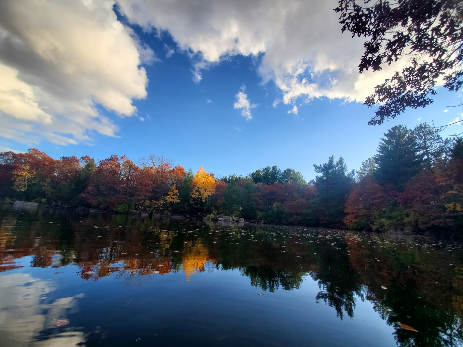 George Friedrich Park - Image 1