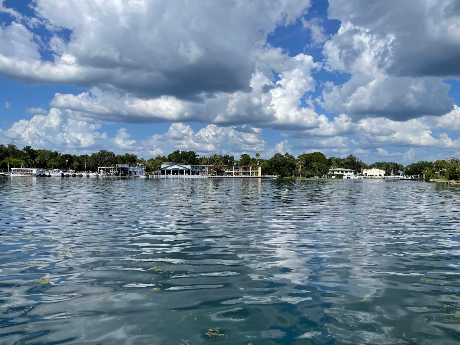 King Spring - Image 1