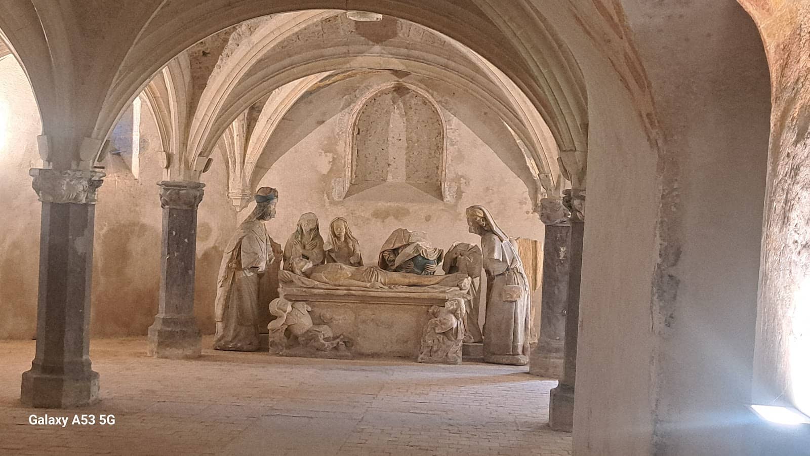 Informative Guided Tours