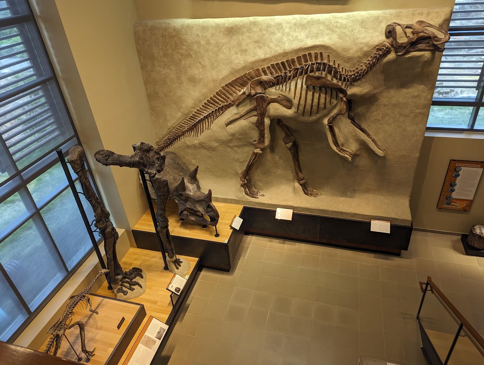 Beneski Museum of Natural History - Image 1