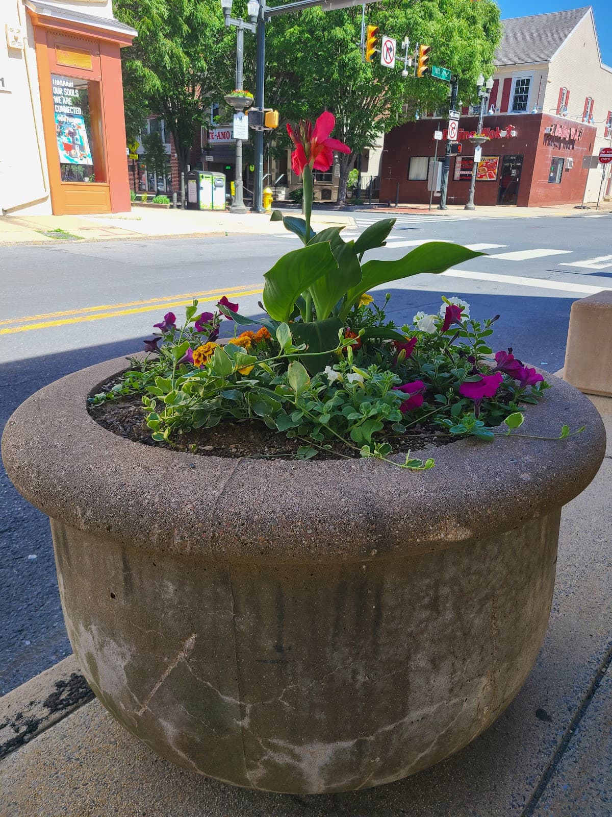 Hamilton District - Image 1