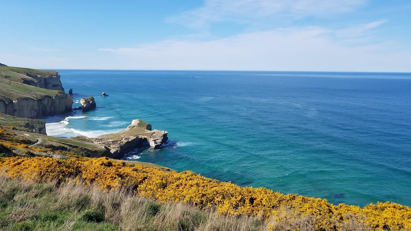 Tunnel Beach Track Dunedin - Image 1