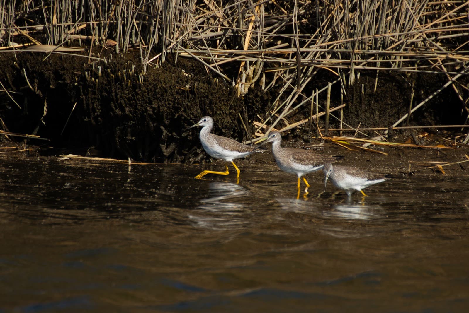 Meadowlands Environment Center - Image 1