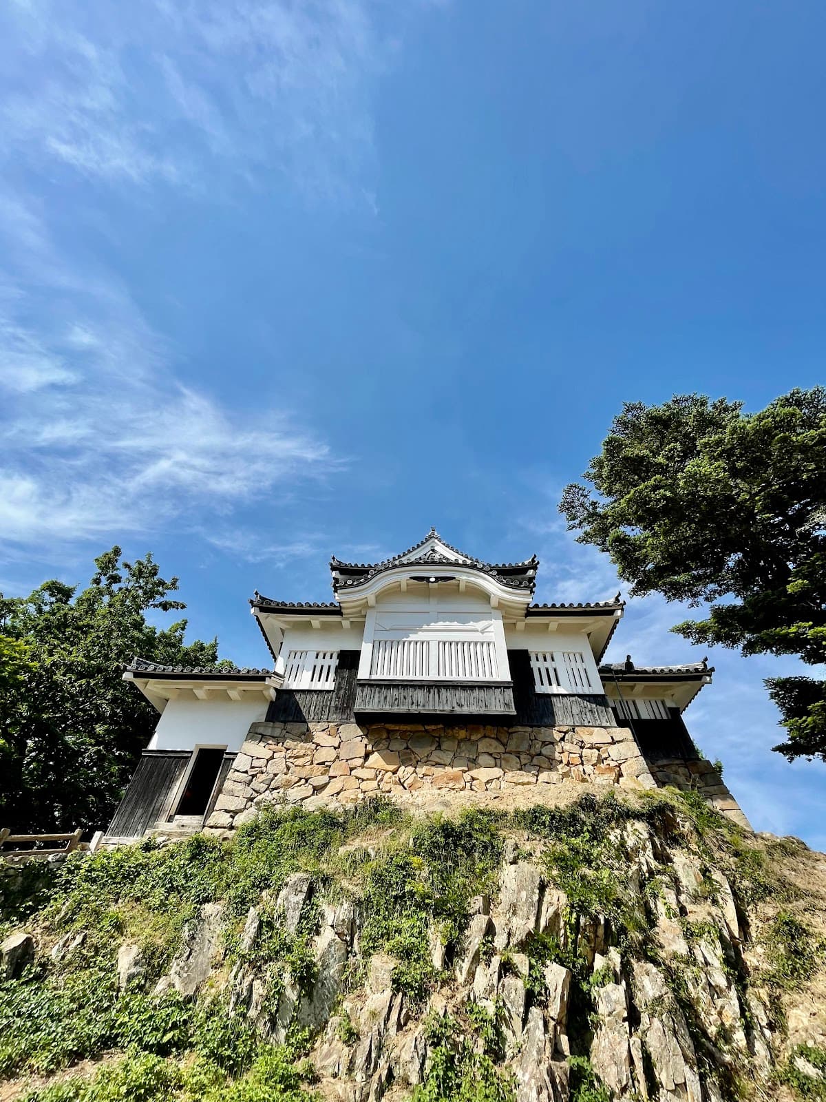 Bitchu Matsuyama Castle - Image 1